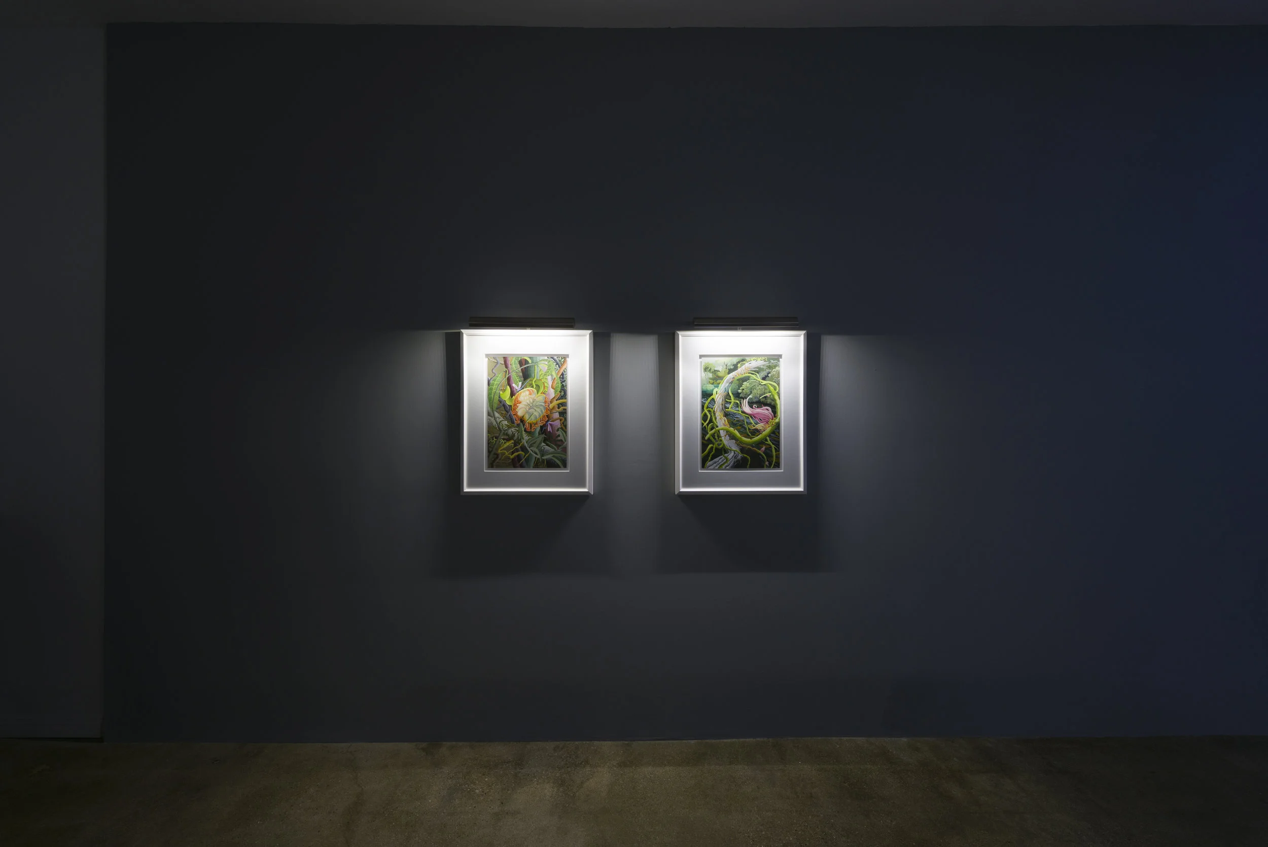 Installation view of Suzan Pitt: Joy Street March 31 - May 5, 2019 Photo by Ruben Diaz Link to press release.