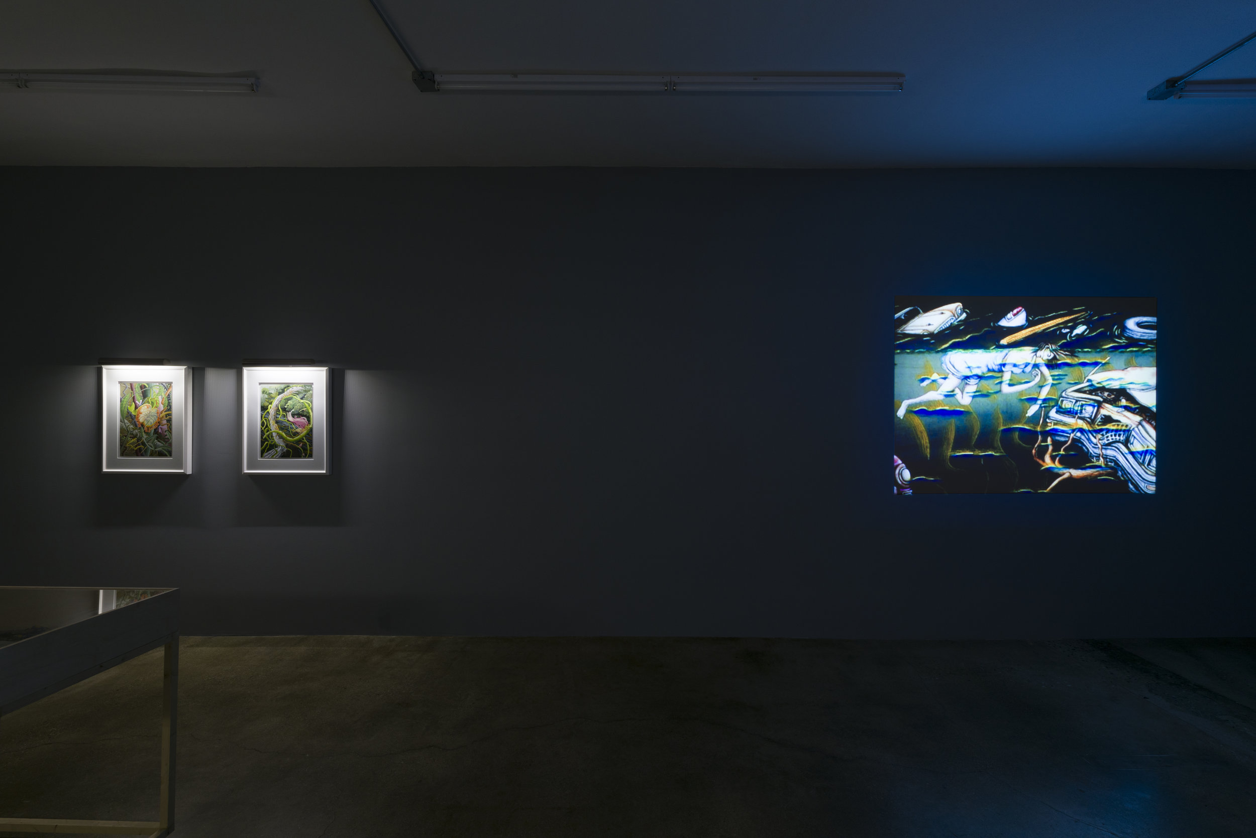  Installation view of Suzan Pitt:  Joy Street   March 31 - May 5, 2019  Photo by Ruben Diaz   Link to press release.  