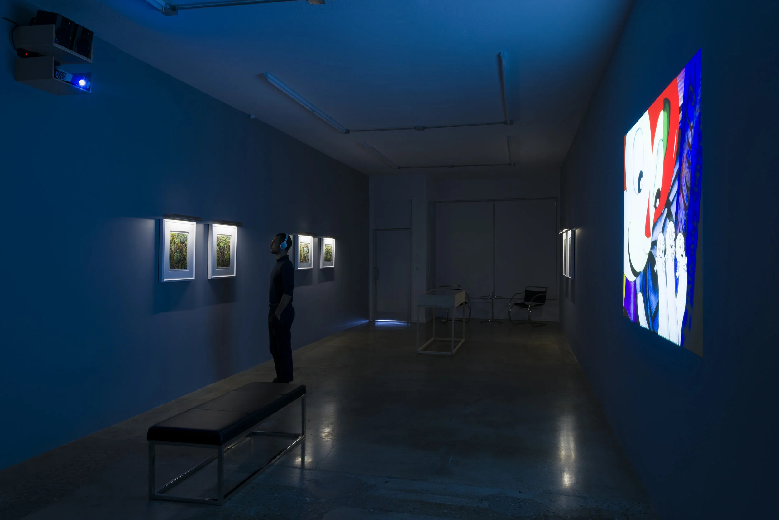 Installation view of Suzan Pitt: Joy Street March 31 - May 5, 2019 Photo by Ruben Diaz Link to press release.