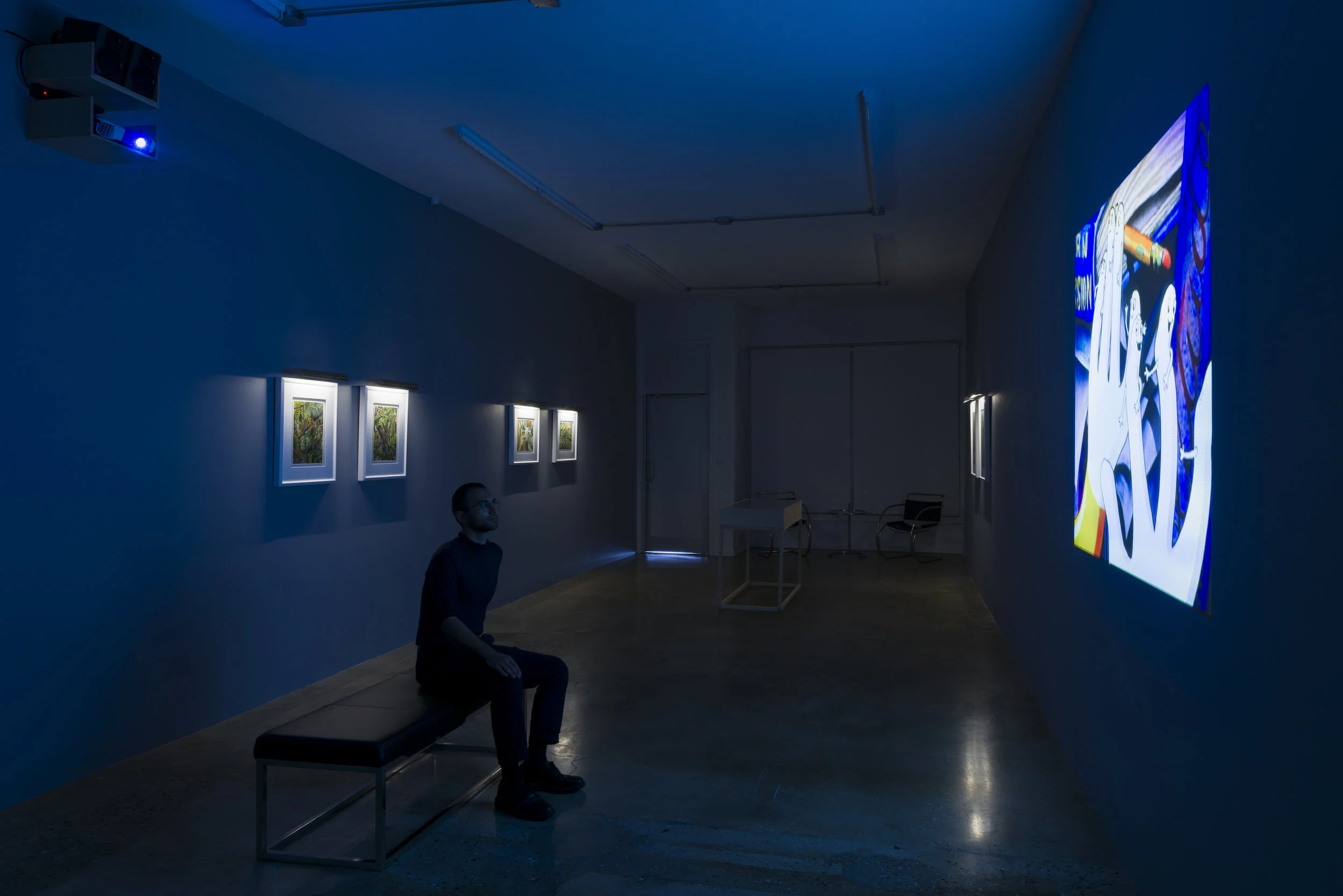 Installation view of Suzan Pitt: Joy Street March 31 - May 5, 2019 Photo by Ruben Diaz Link to press release.