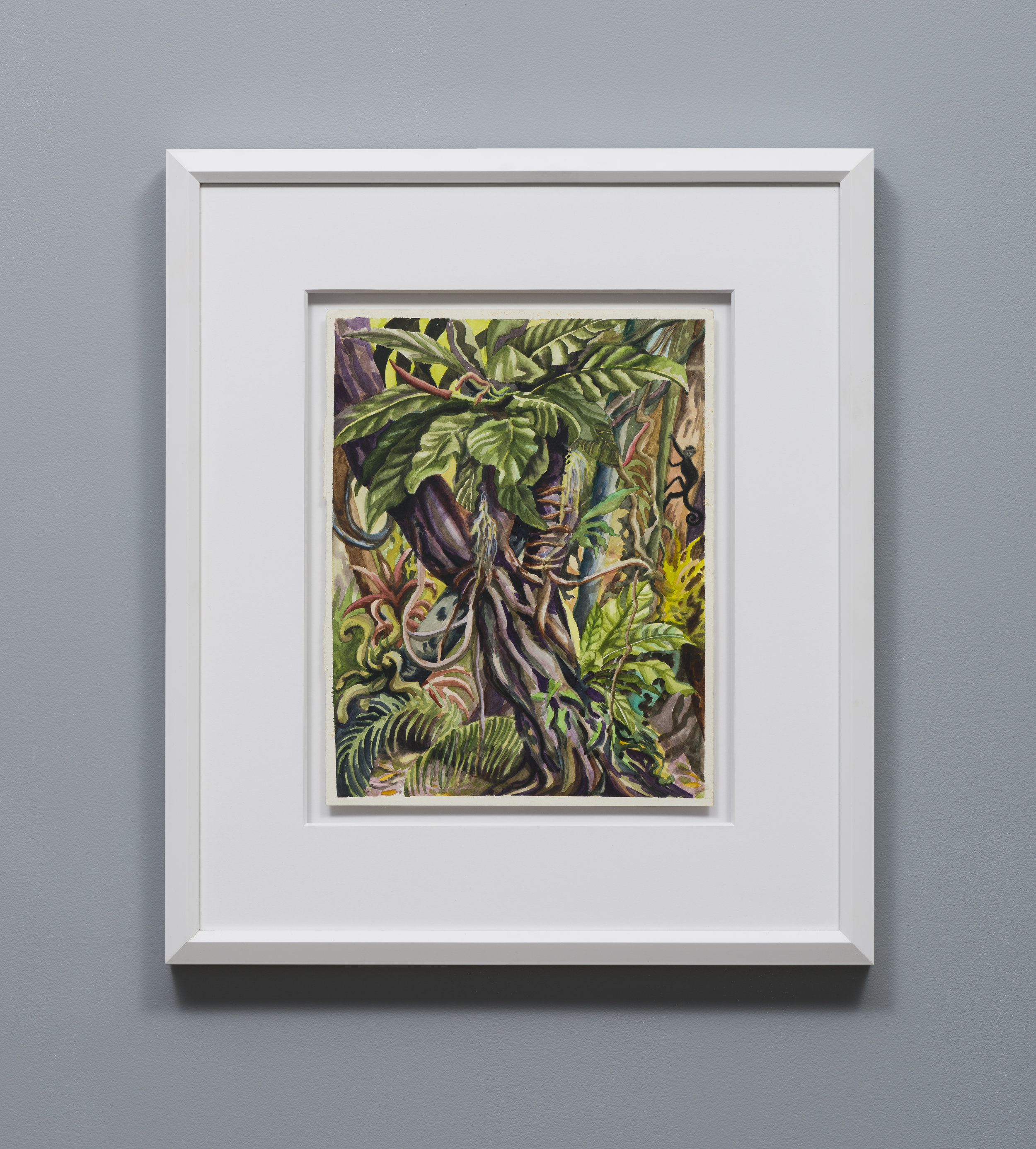   Suzan Pitt  Arbol Grande del Biotopo     1989 Watercolor on paper 14.75 x 11.5 inches, 24.5 x 21 inches framed 