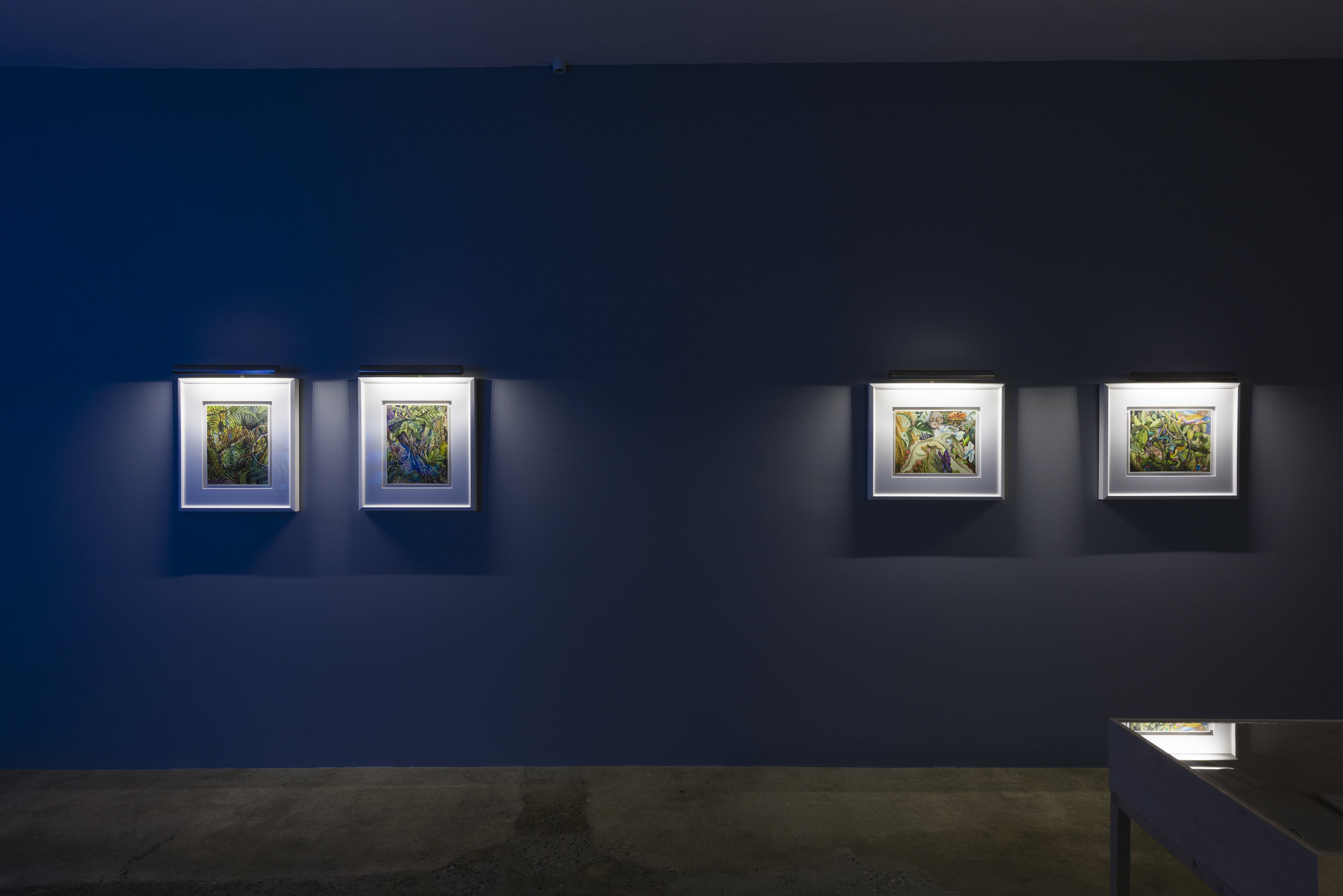  Installation view of Suzan Pitt:  Joy Street   March 31 - May 5, 2019  Photo by Ruben Diaz   Link to press release.  