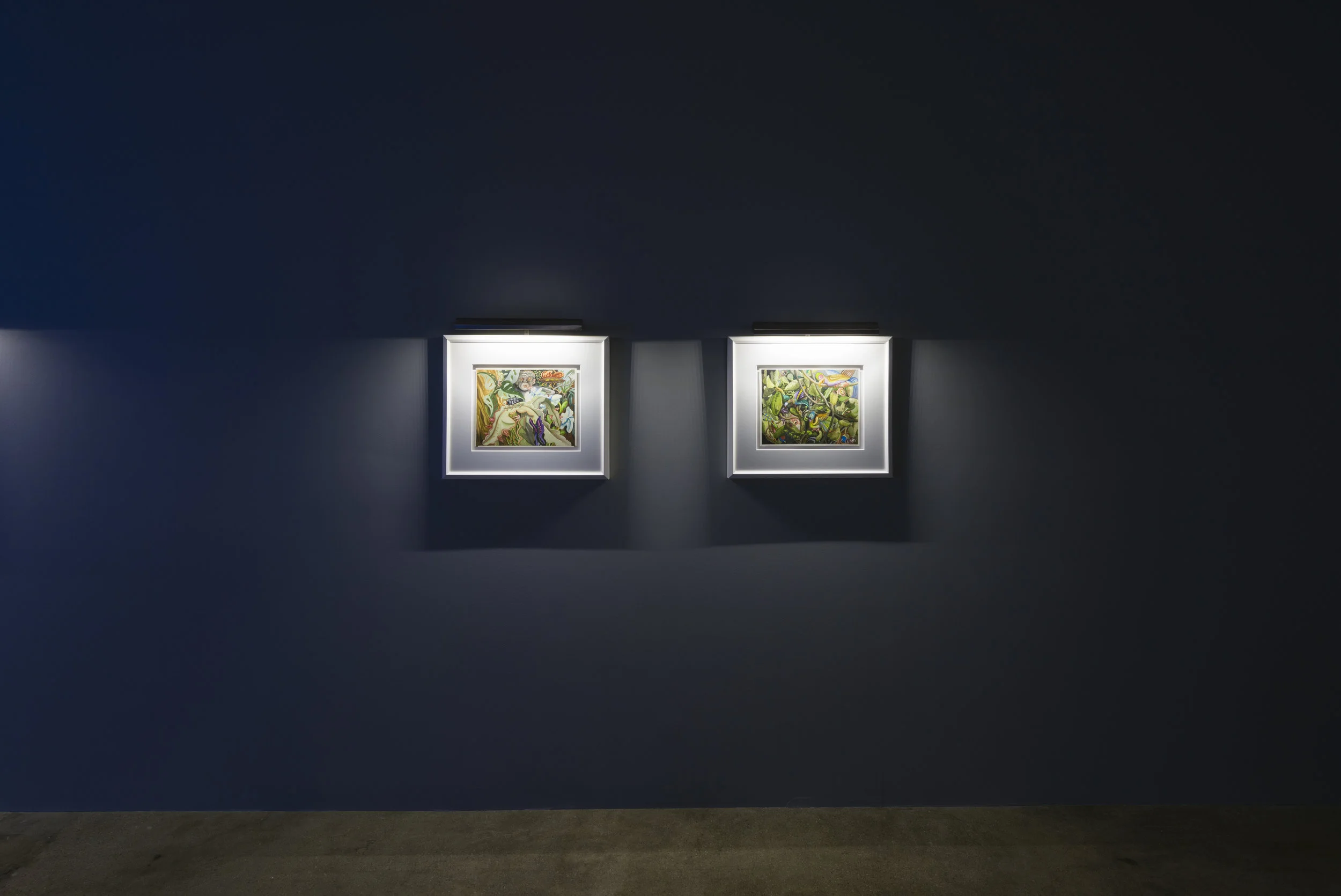 Installation view of Suzan Pitt: Joy Street March 31 - May 5, 2019 Photo by Ruben Diaz Link to press release.