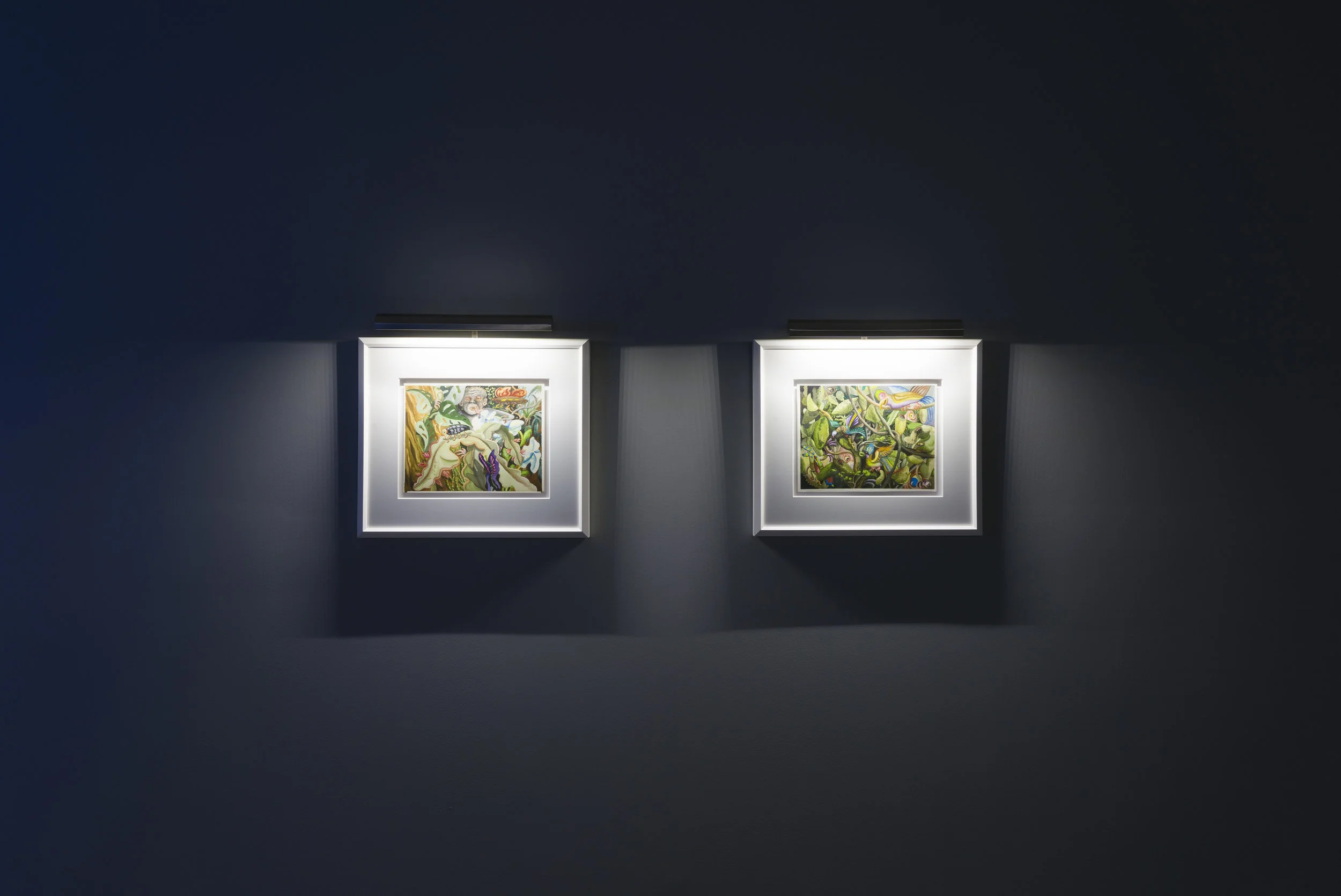 Installation view of Suzan Pitt: Joy Street March 31 - May 5, 2019 Photo by Ruben Diaz Link to press release.