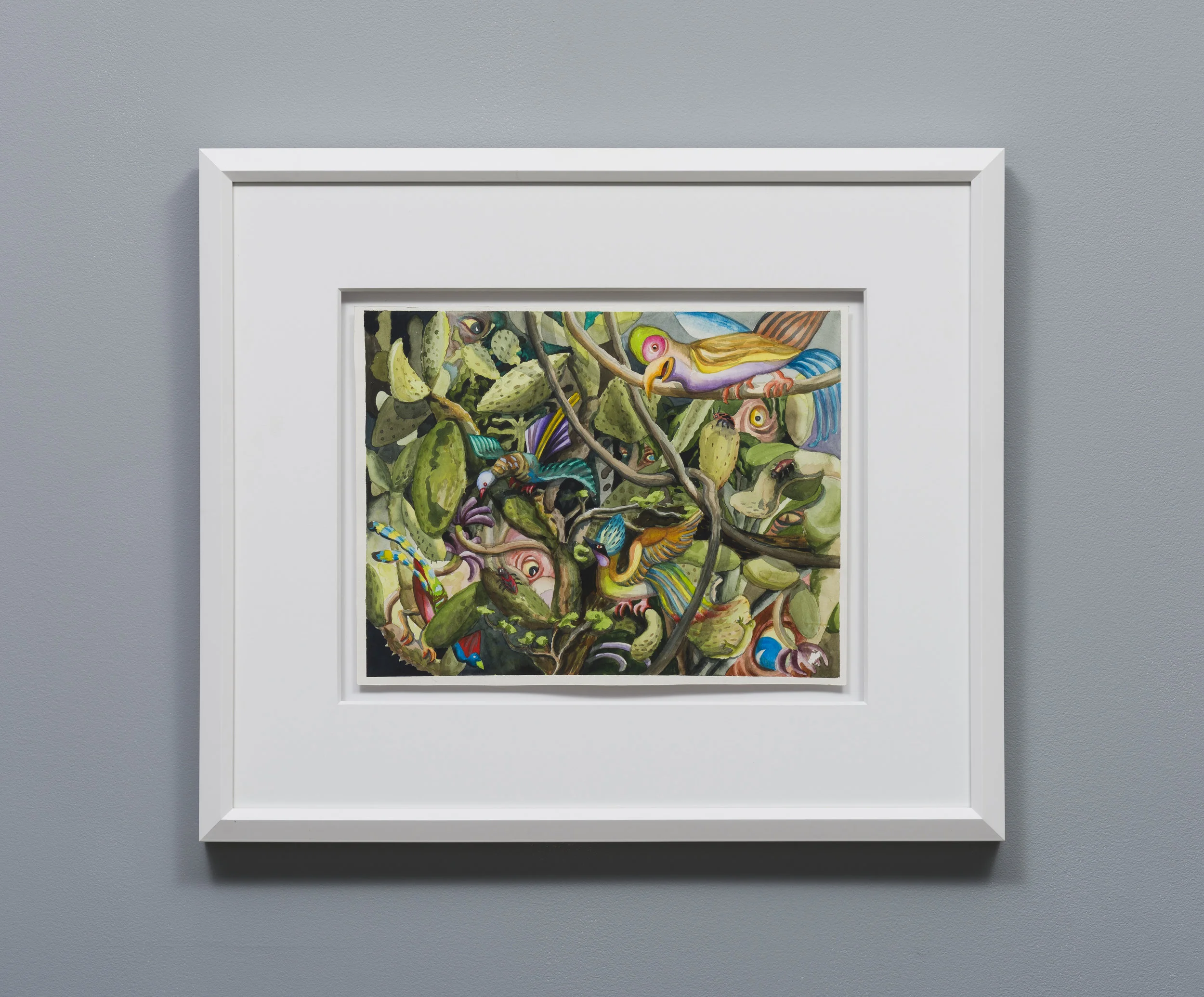 Suzan Pitt Chichicastenago Parrot 1989 Watercolor on paper 11.5 x 14.75 inches, 21 x 24.5 inches framed