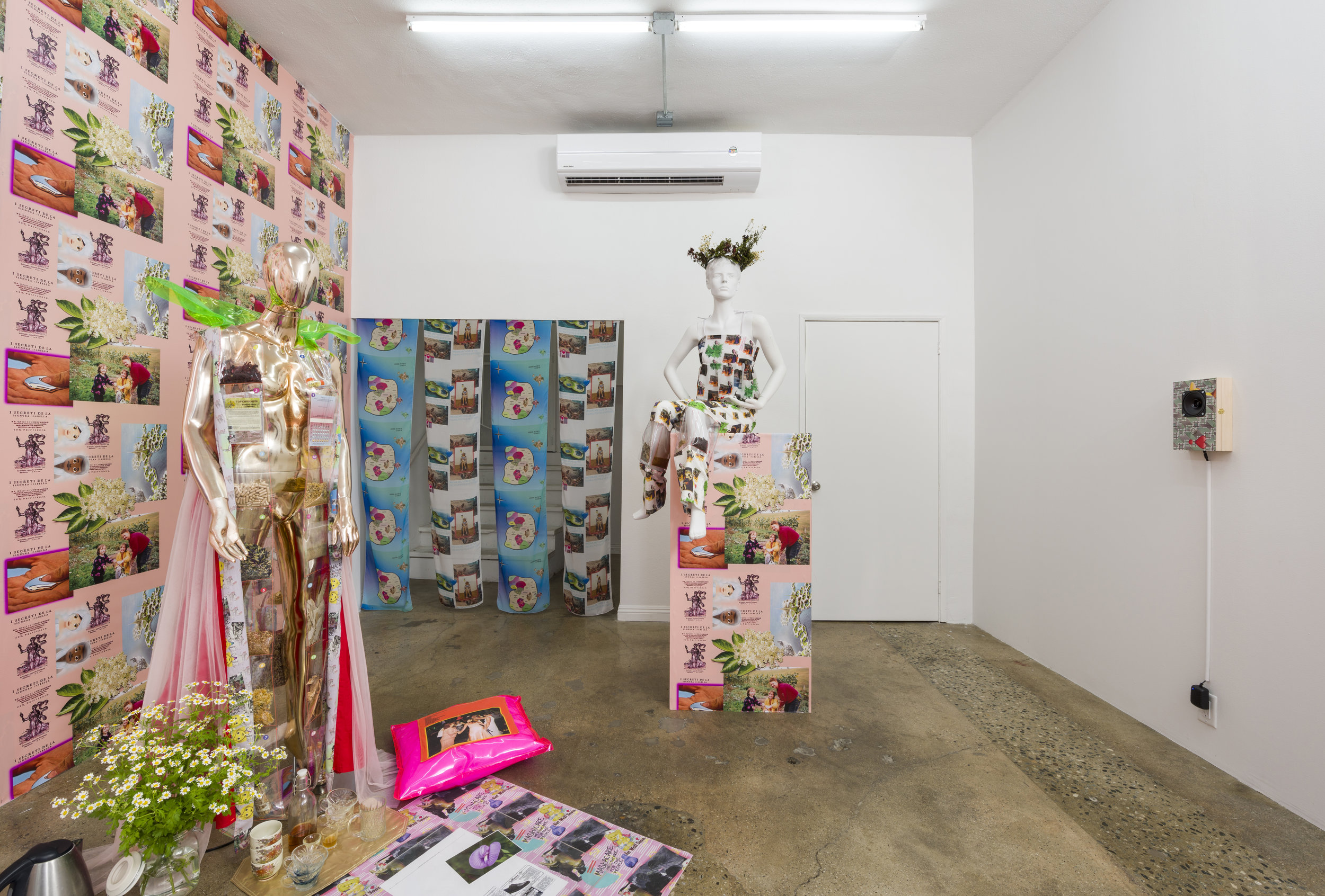  Installation view of  Molly Surazhsky   Mashacare Home of the Freaks, Misfits, &amp; Weirdoes   July 14 - August 18, 2019  Photo by Ruben Diaz   Link to press release.  