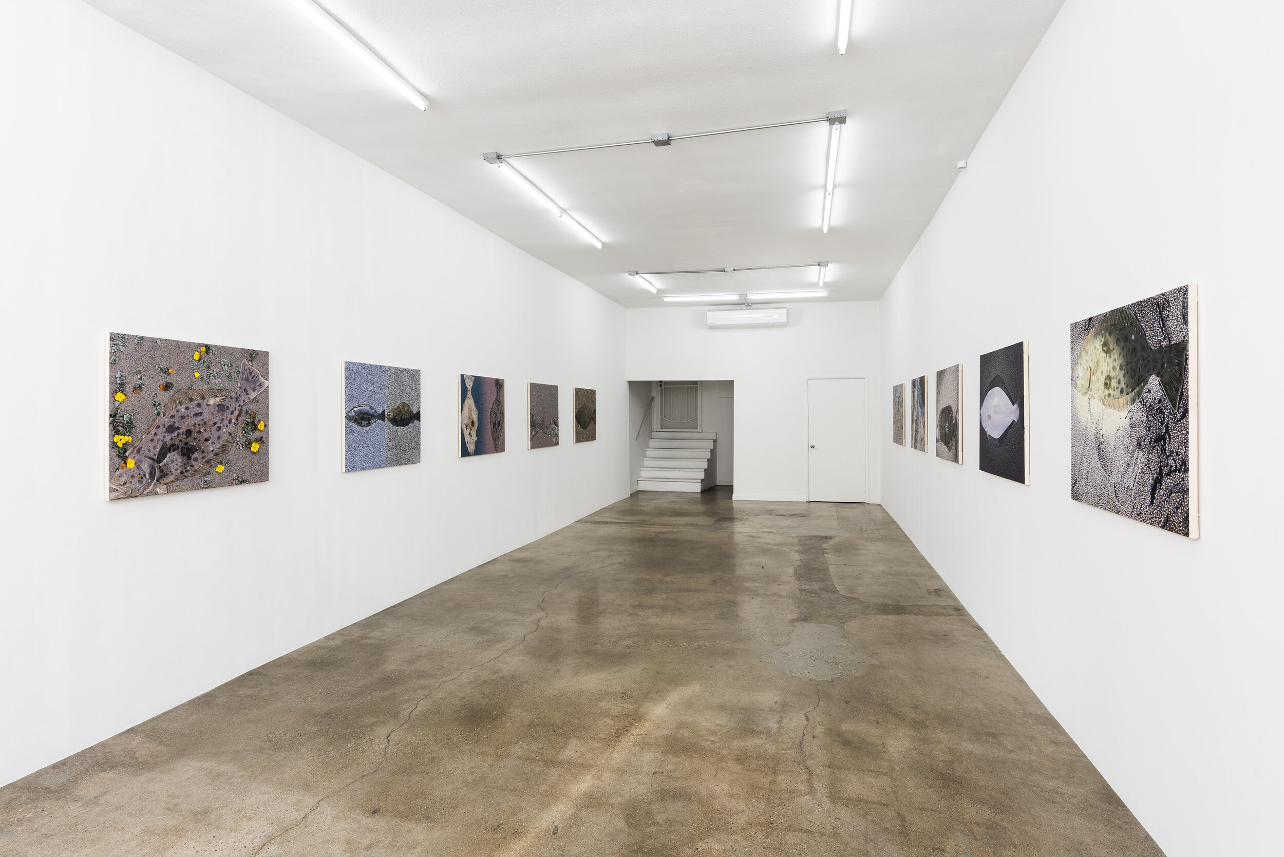  Installation view of Adam Higgins:  Flatfish   January 12 - February 23, 2020  Photo by Ruben Diaz   Link to press release.  