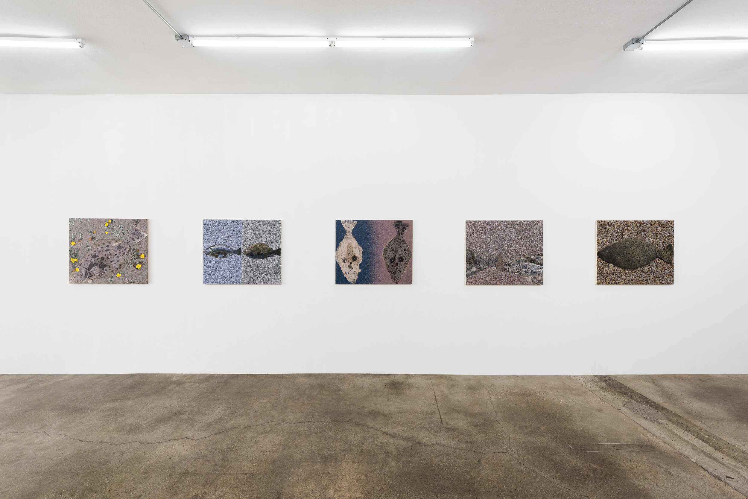  Installation view of Adam Higgins: Flatfish  January 12 - February 23, 2020  Photo by Ruben Diaz   Link to press release.  