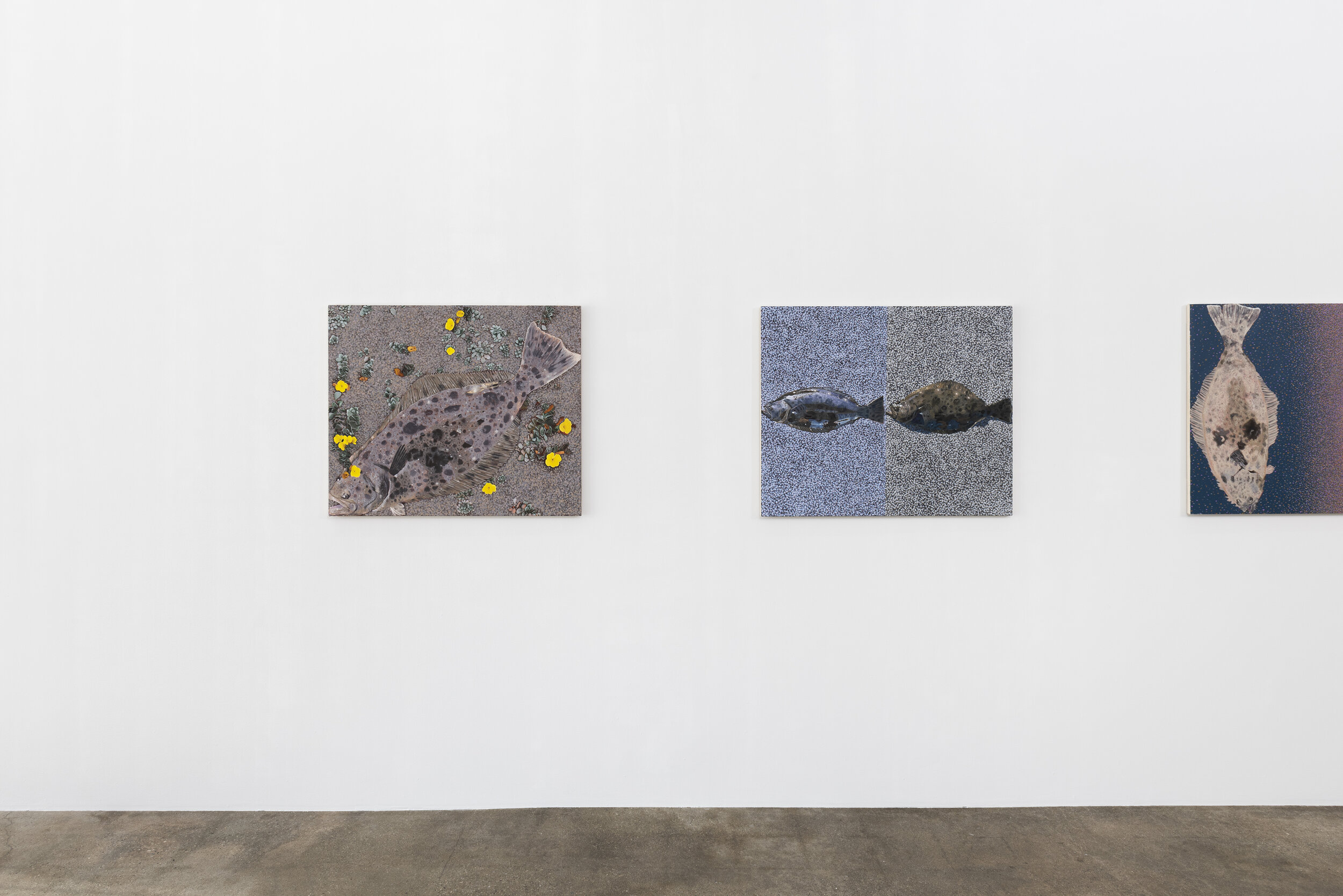  Installation view of Adam Higgins: Flatfish  January 12 - February 23, 2020  Photo by Ruben Diaz   Link to press release.  