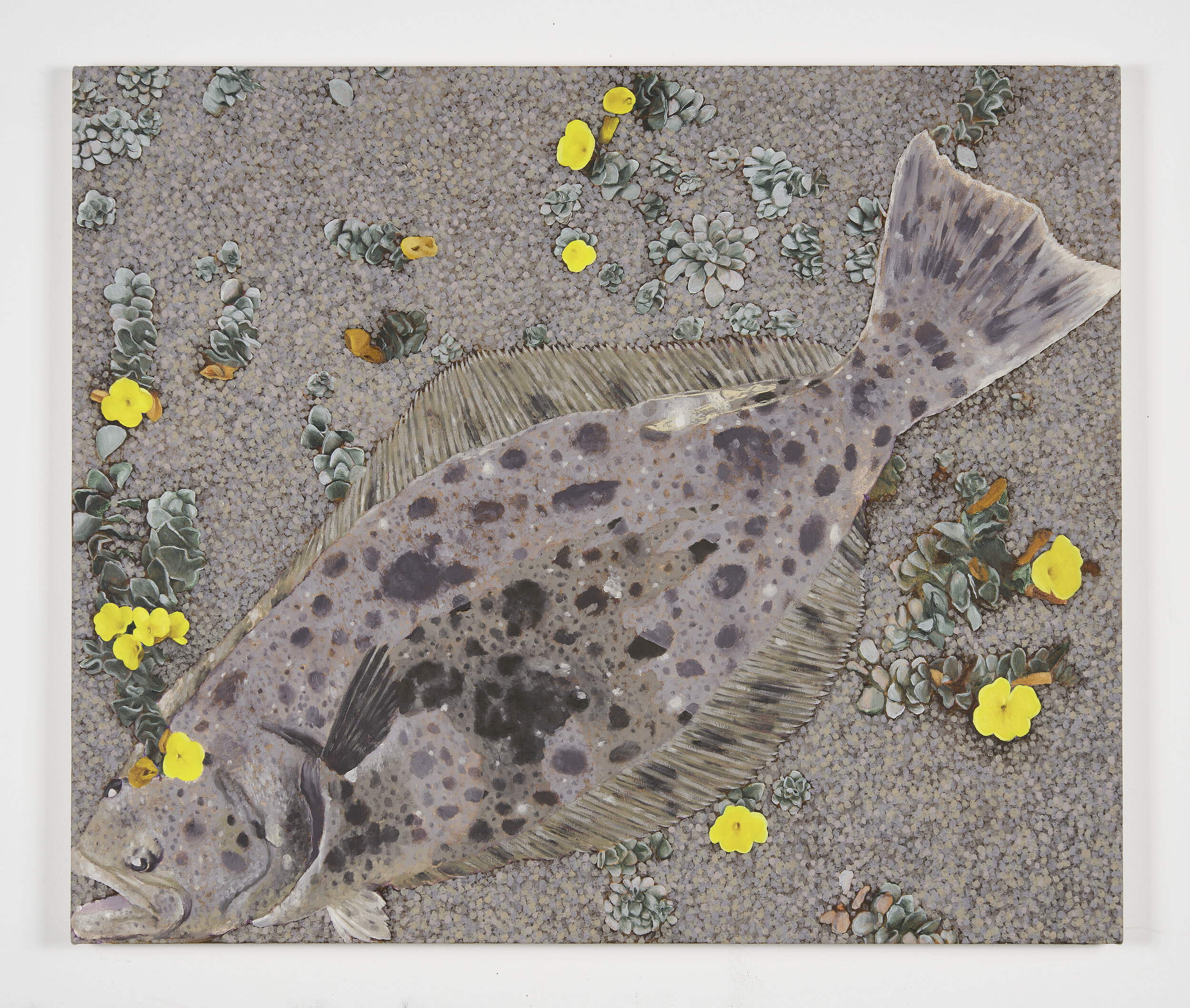   Adam Higgins   California Halibut with coastal poppies  2019 Oil on canvas 30 x 36 inches 