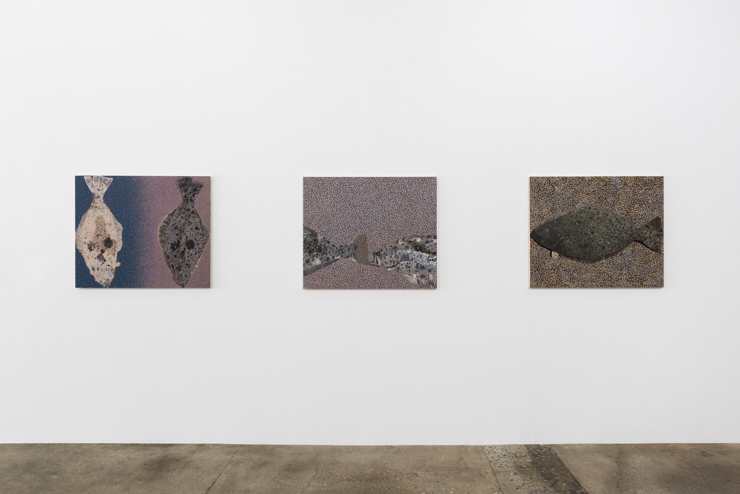  Installation view of Adam Higgins:  Flatfish   January 12 - February 23, 2020  Photo by Ruben Diaz   Link to press release . 