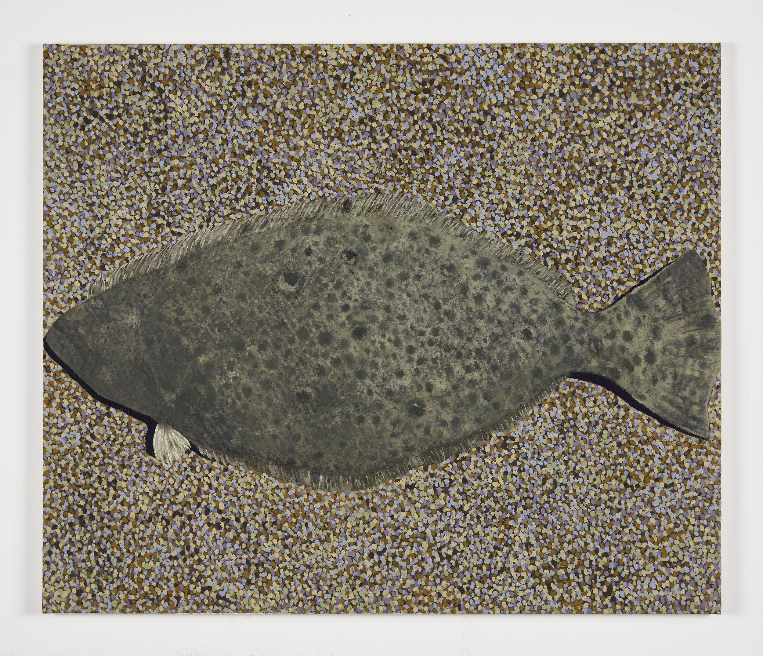   Adam Higgins   California Halibut  2019 Oil on canvas 30 x 36 inches 