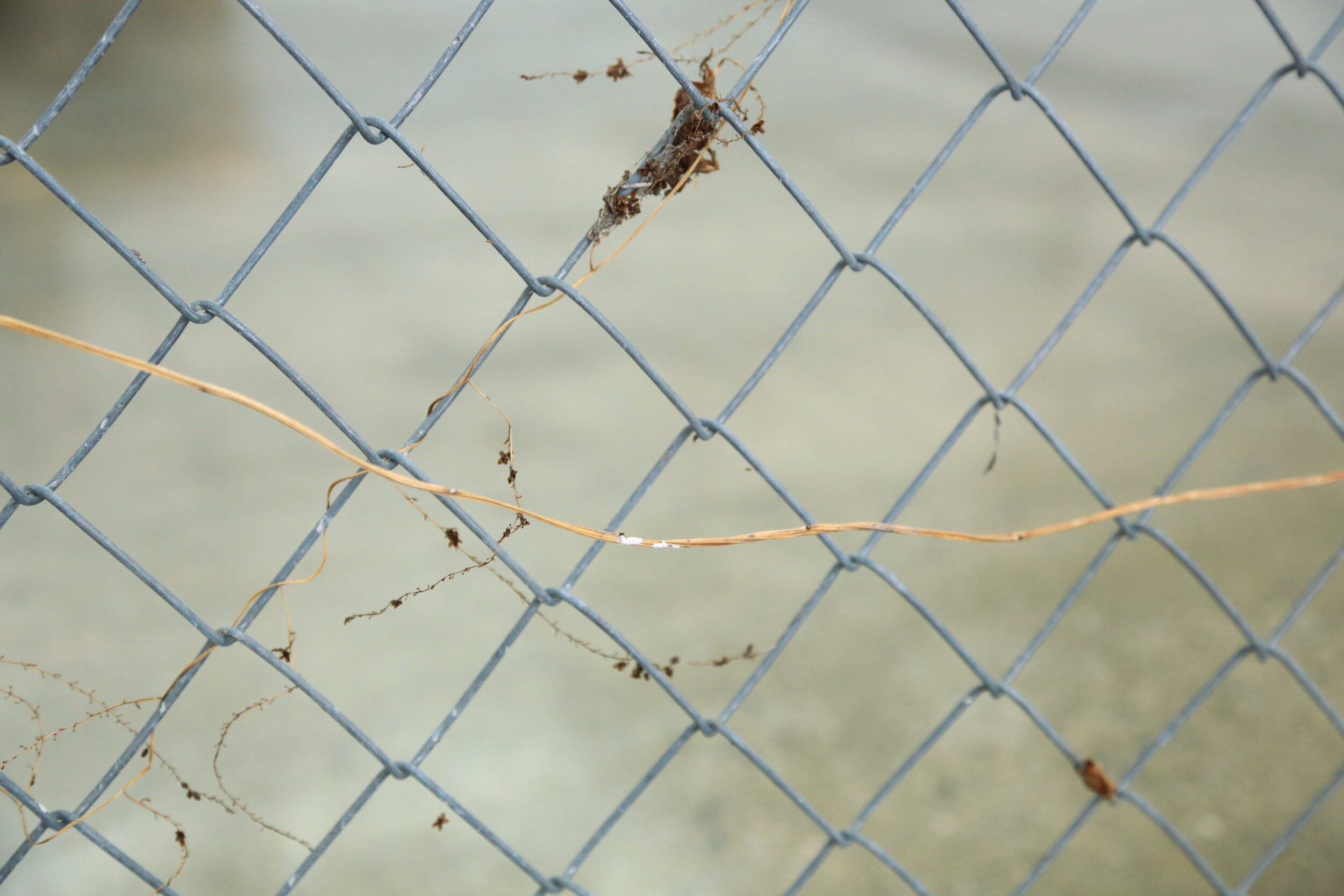  Detail view of   Tarik Garrett   2020 Steel barrier, trimmed 132 x 96 inches 