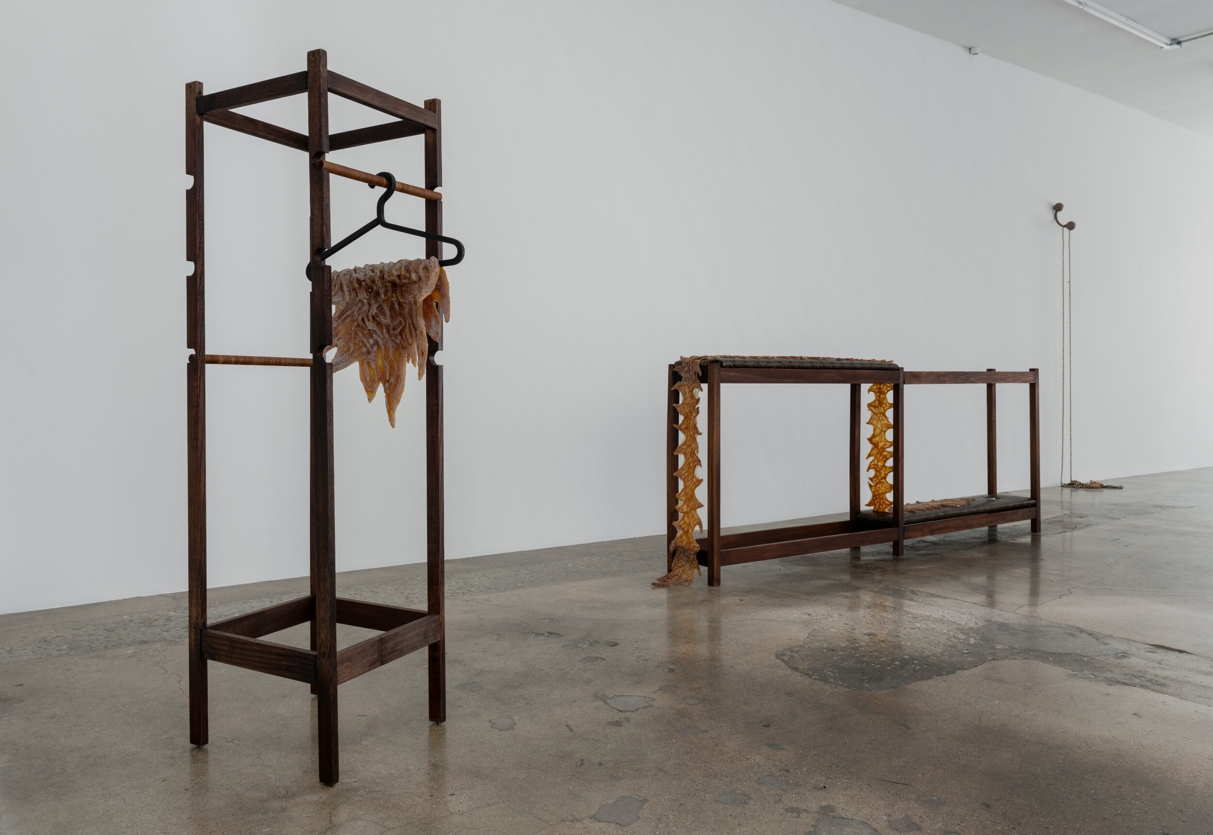  Installation view of Sessa Englund:  Fool’s Errand   May 16 - July 4 2021  Photo by Ruben Diaz   Link to press release  