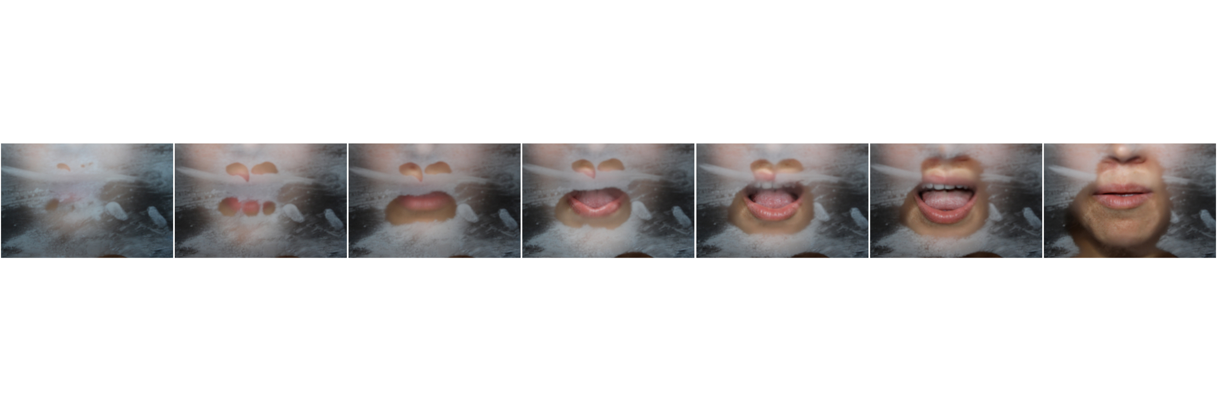 A is for Apple (1 of 2), 2013 Photography, float glass Dimensions variable Photo Credit: Leonardo Barthel New Glass Review 34