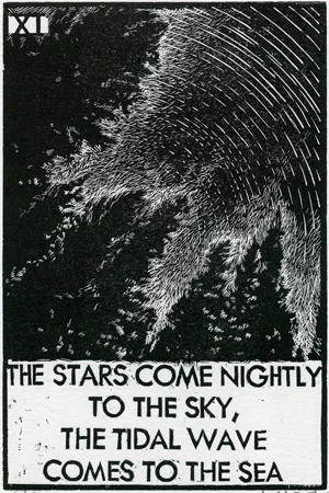Plate XI: Stars