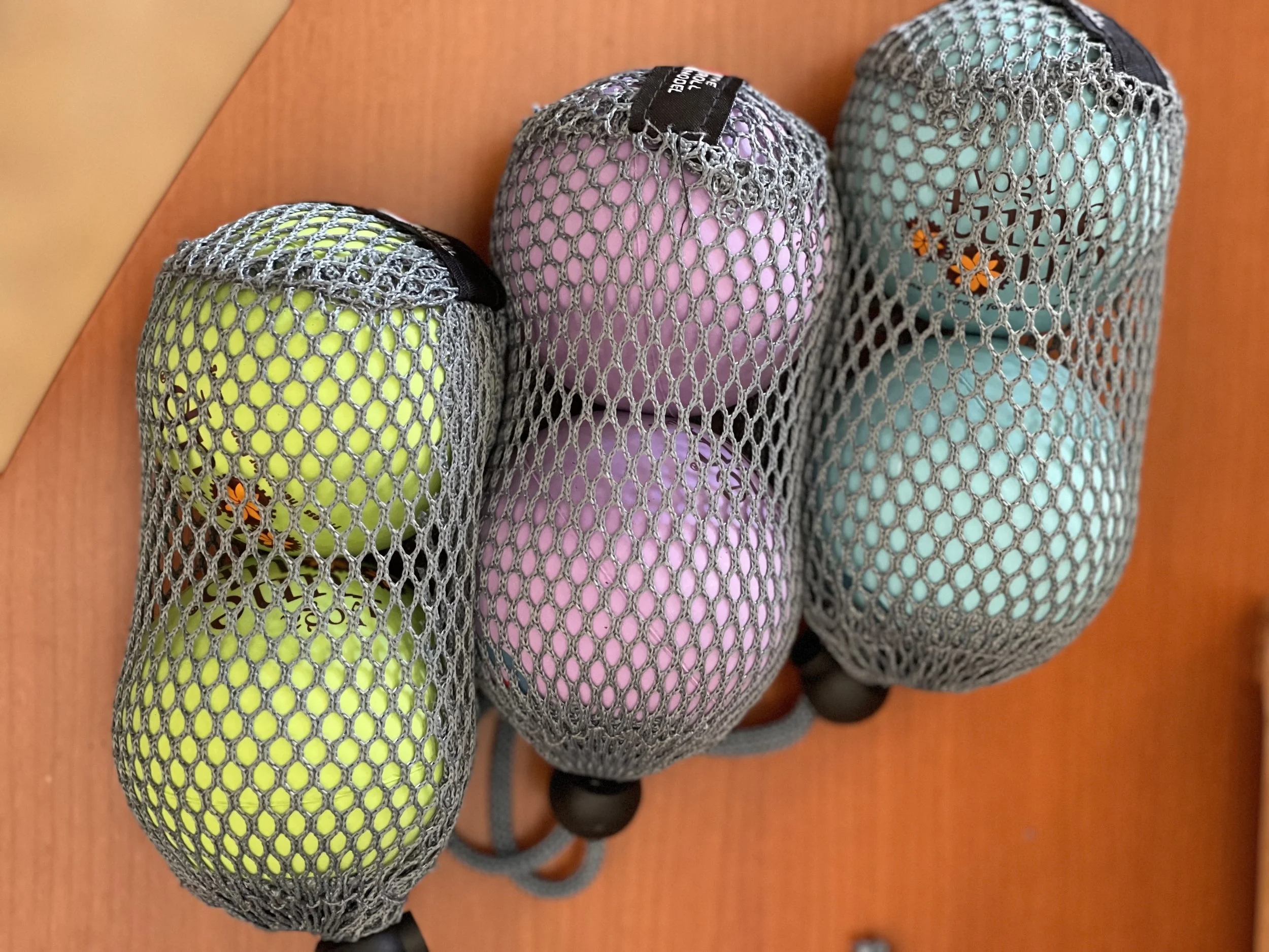 Ball: Therapy Ball PLUS Pair in Tote - blue