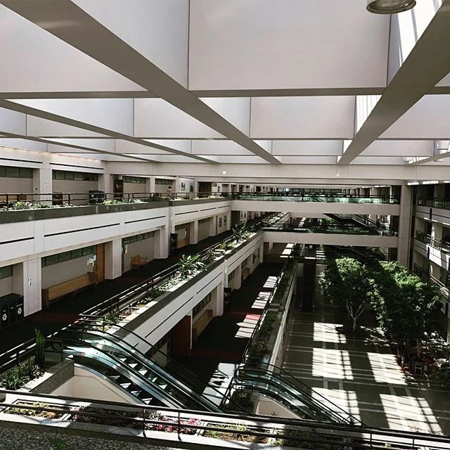 #LMU #LA #california #college @loyolamarymount