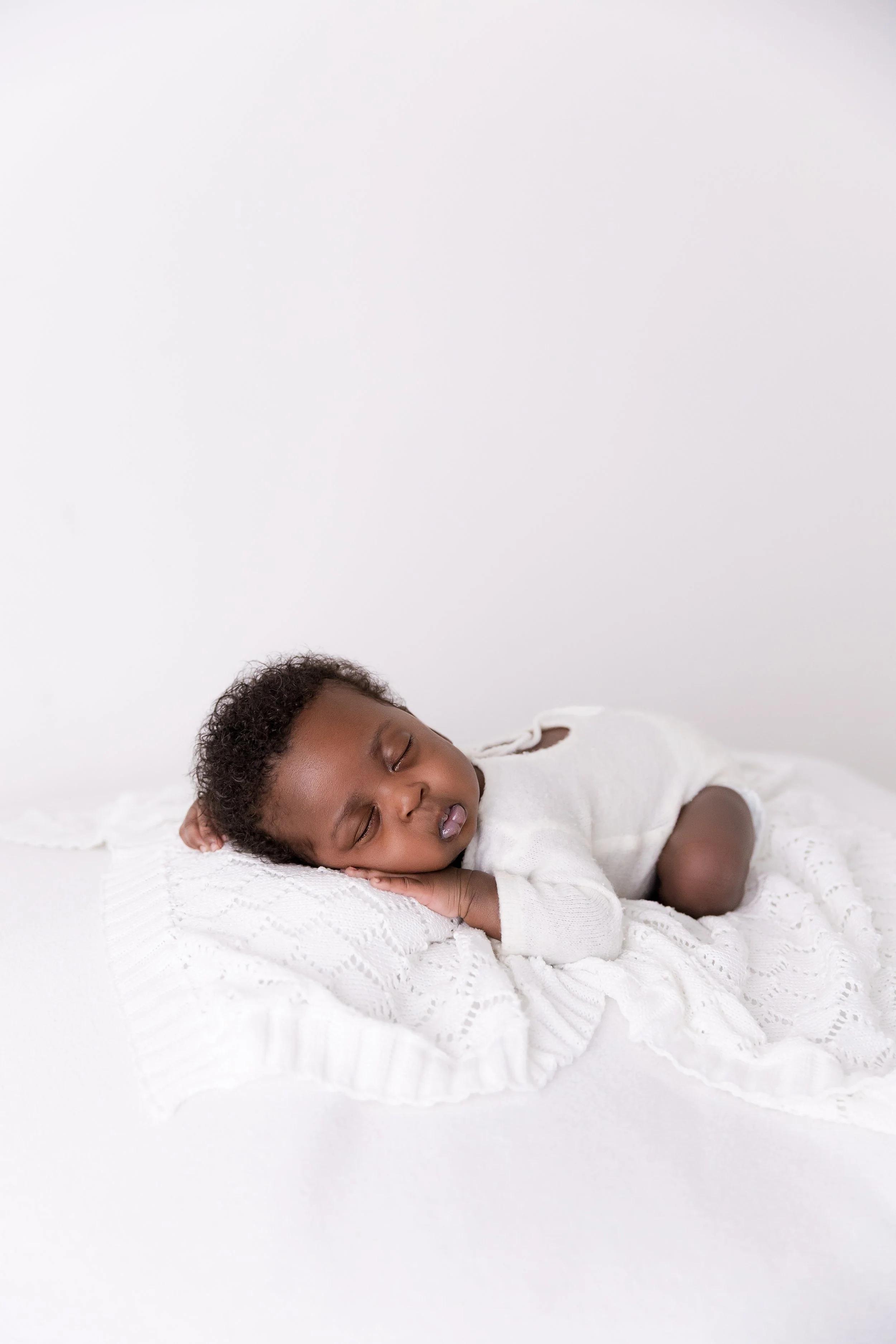 Bumblebee Photography-30.jpg