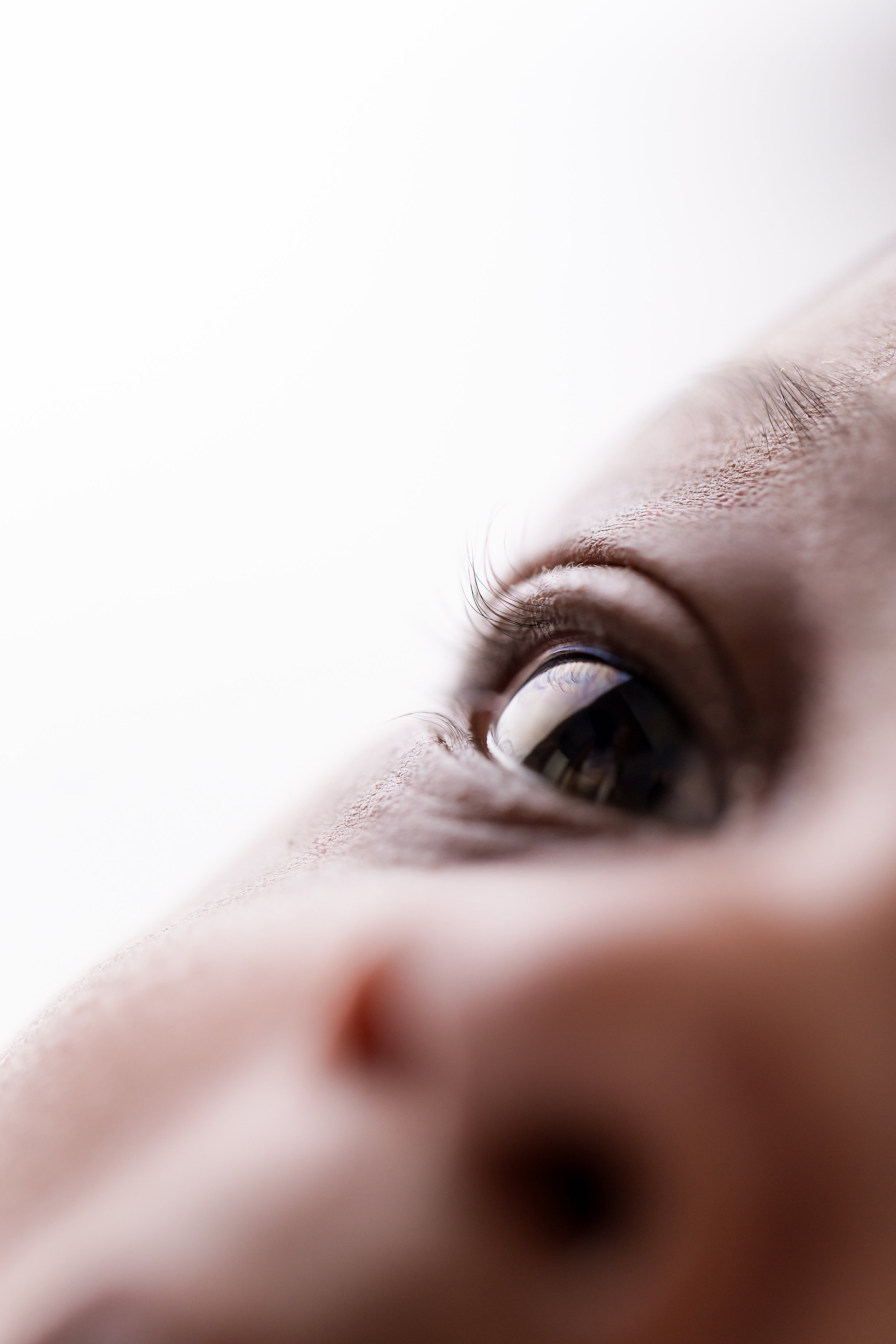 Bumblebee Photography-51.jpg