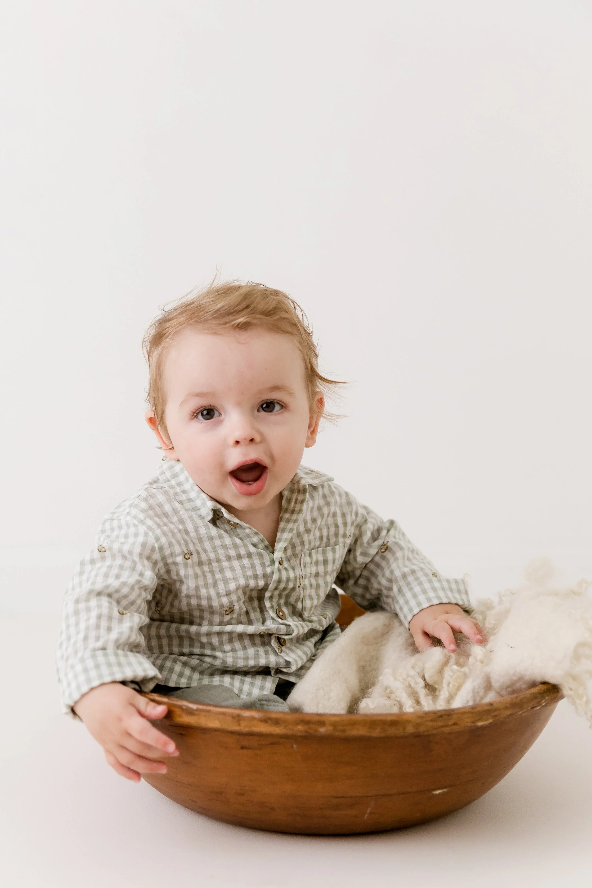 Bumblebee Photography-011.jpg