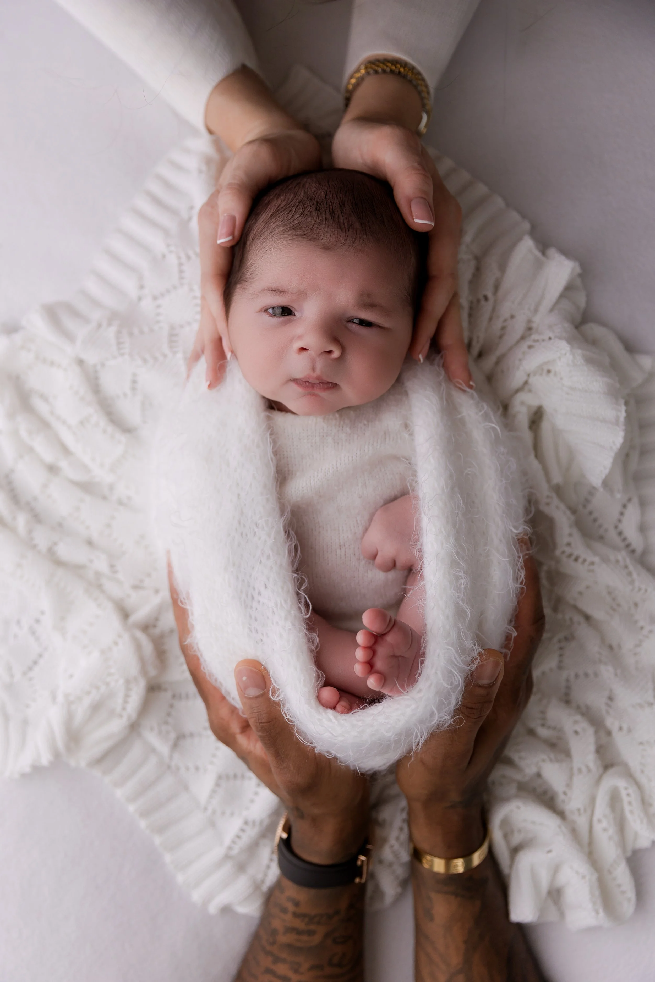 Bumblebee Photography-18.jpg