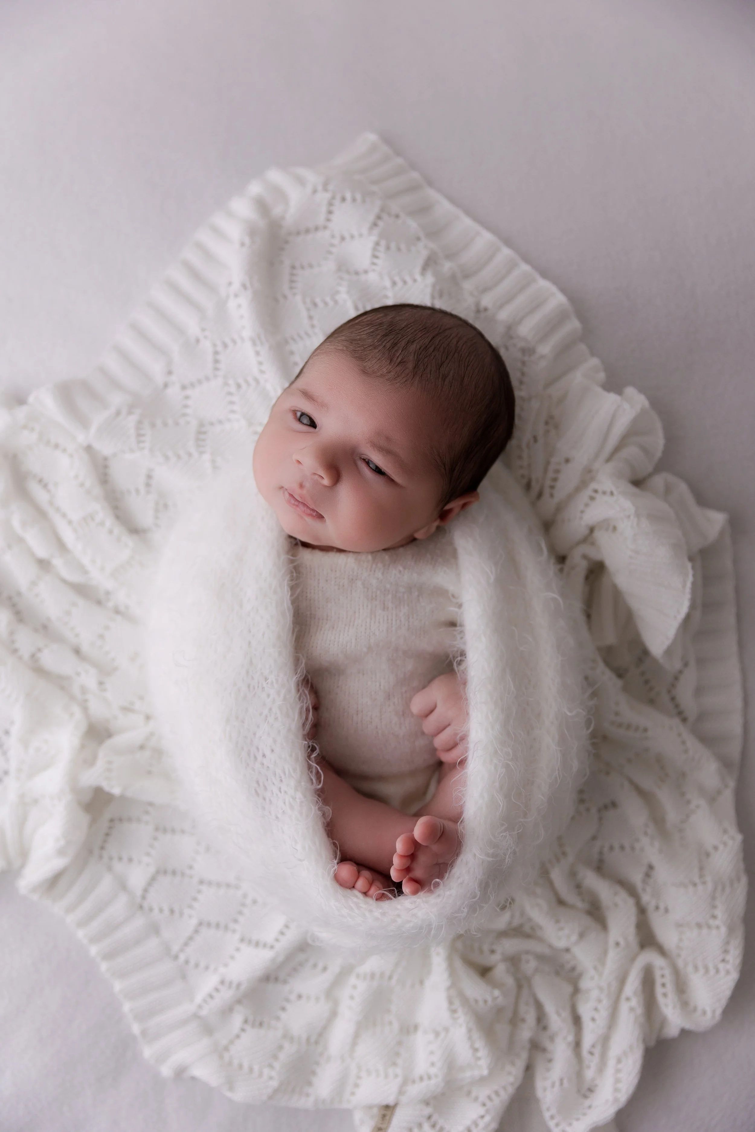 Bumblebee Photography-22.jpg