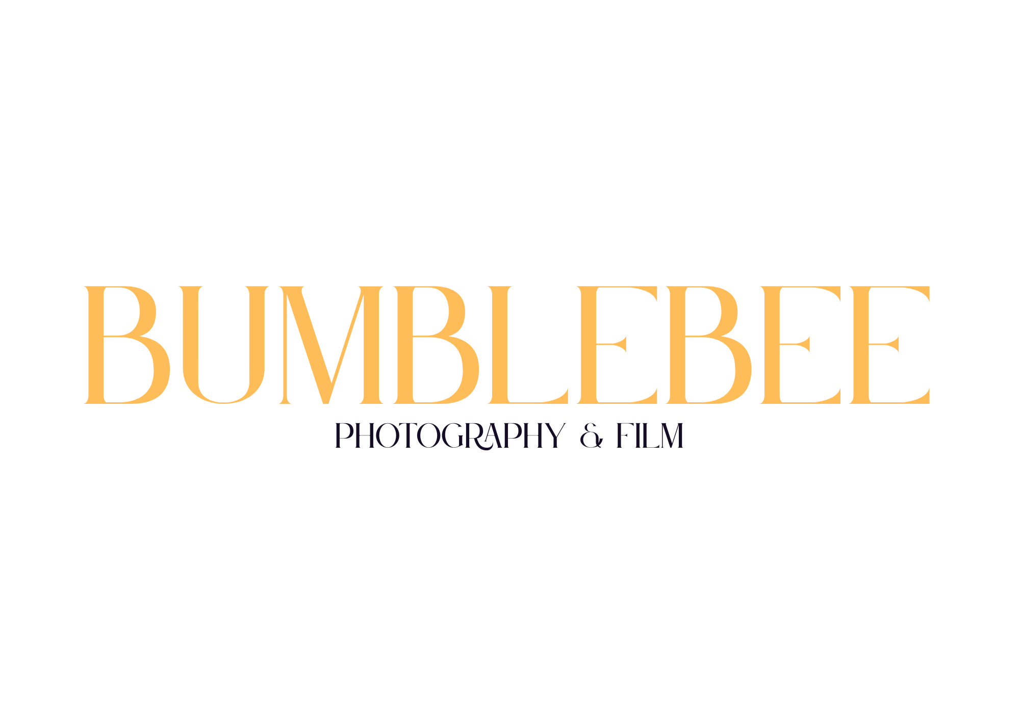 Bumblebee Photography
