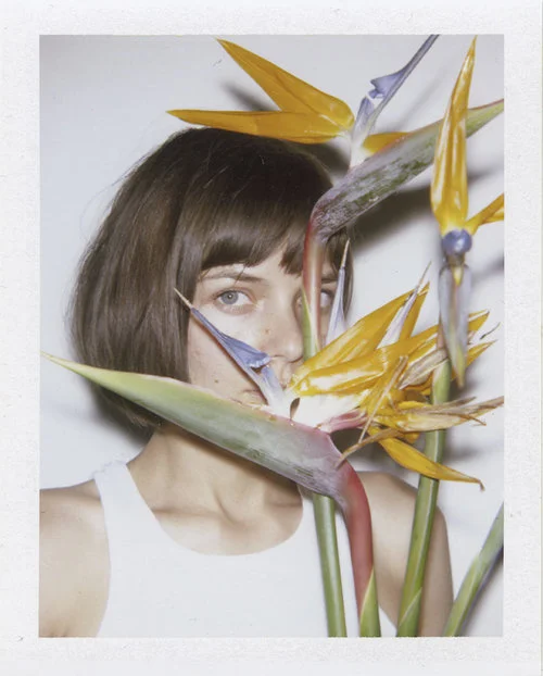 Big Shot Polaroid by Dan Monick