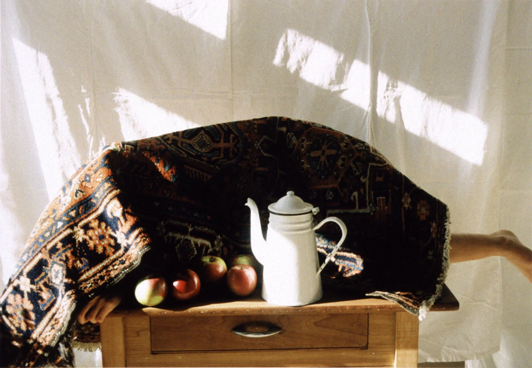 Name Of Piece: Lining Size of piece: 15 x 23" Medium: C-print Photographed by: Gedi Sibony Location, Year: 2001, Long Island, NY,