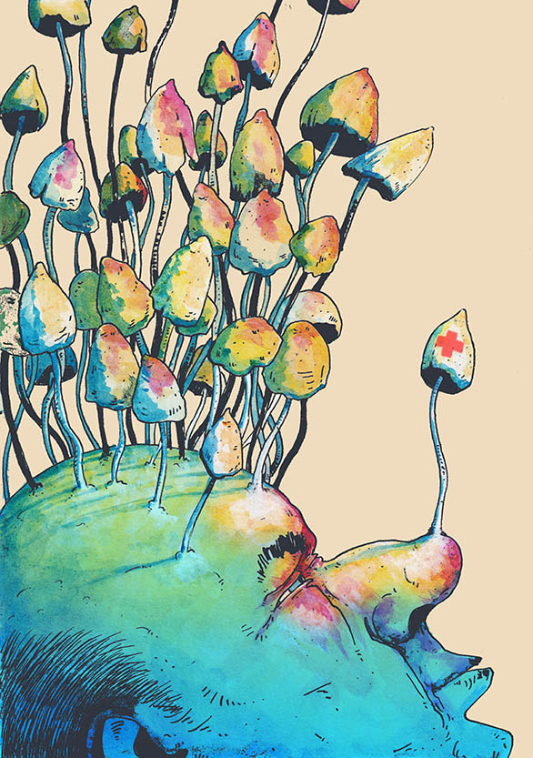 mushroom seasonsmall4.jpg