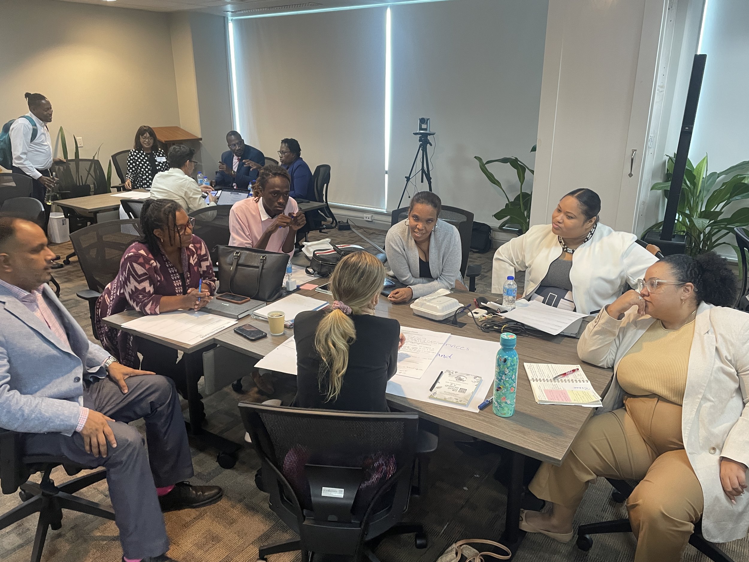 Trinidad MOI Workshop.JPG