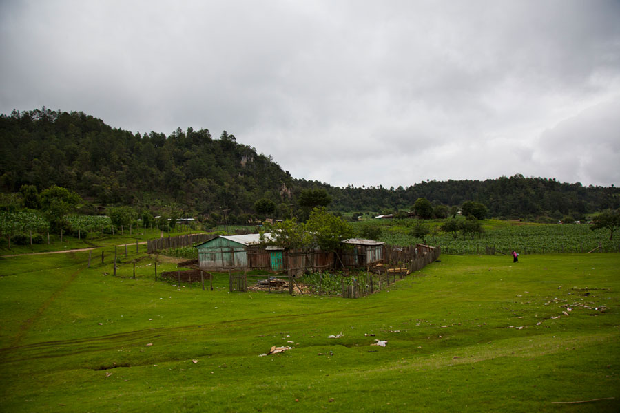   Por el camino a Comitán, en 2012 . . .  