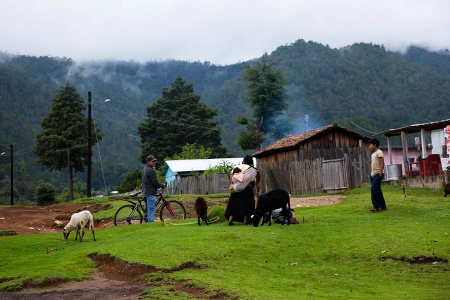 Por el camino a Comitán, en 2012 . . .