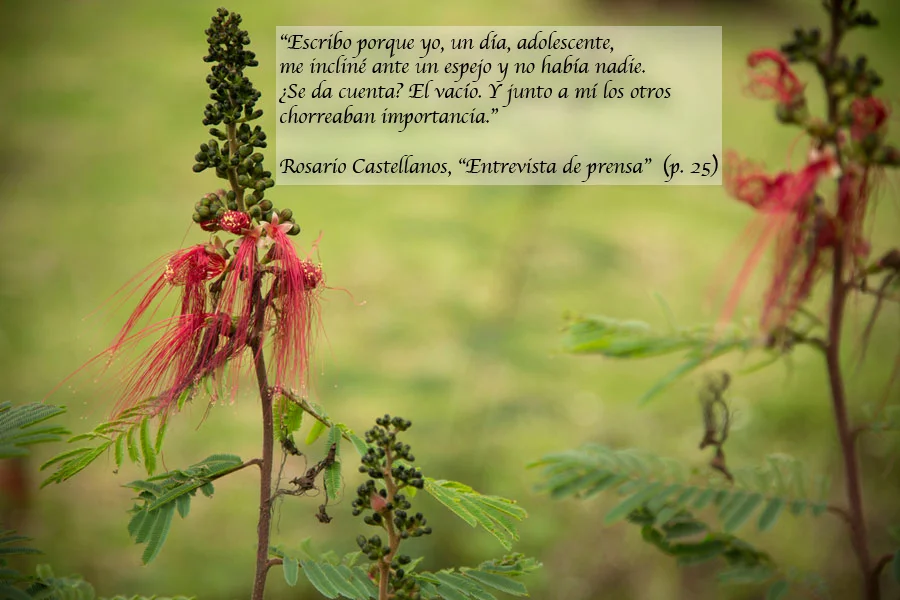 flores.jpg
