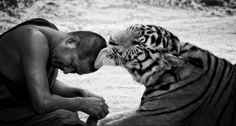 Make sure your customers love you