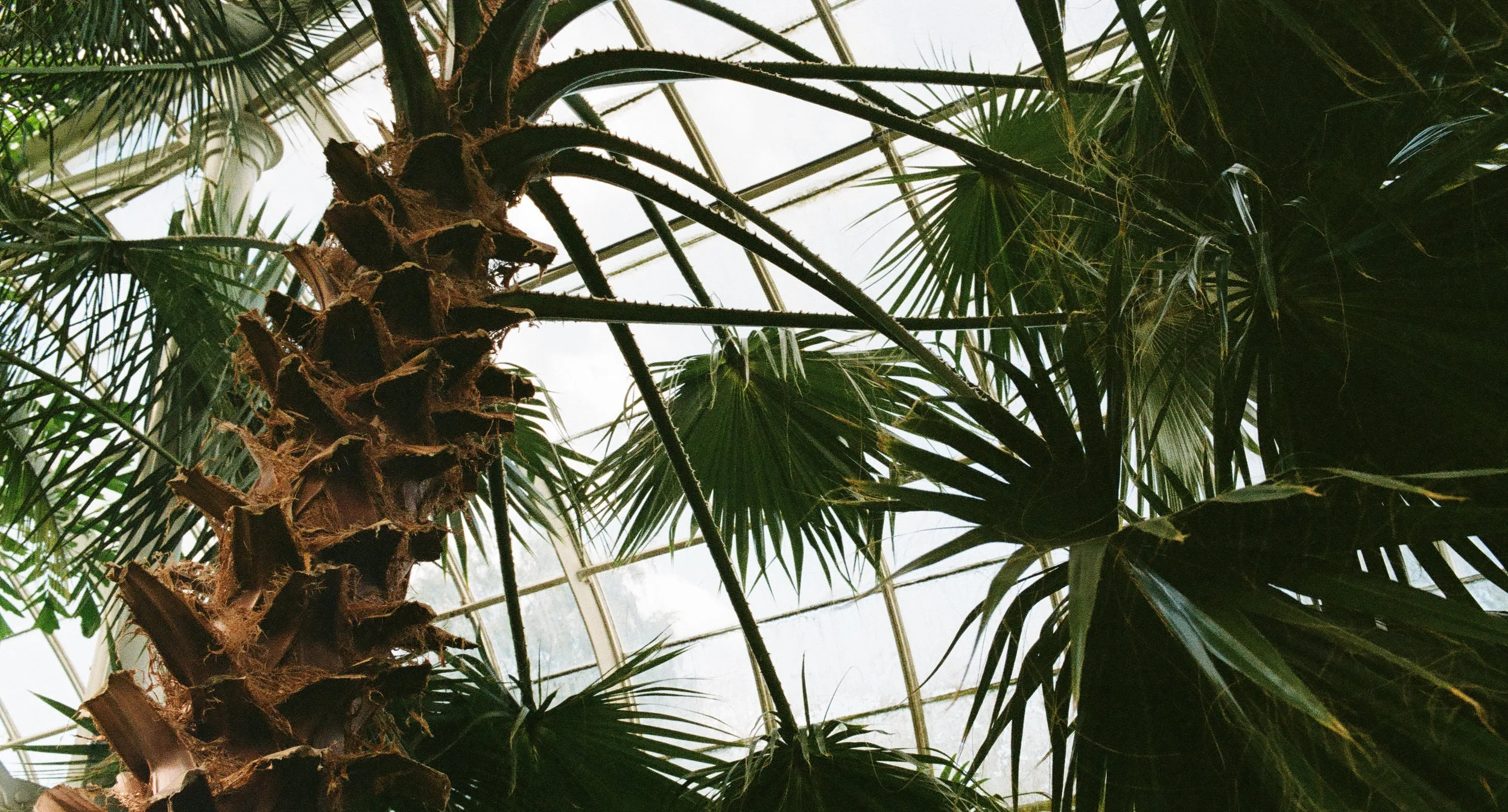 Mt Film Shots (67 of 90).jpg