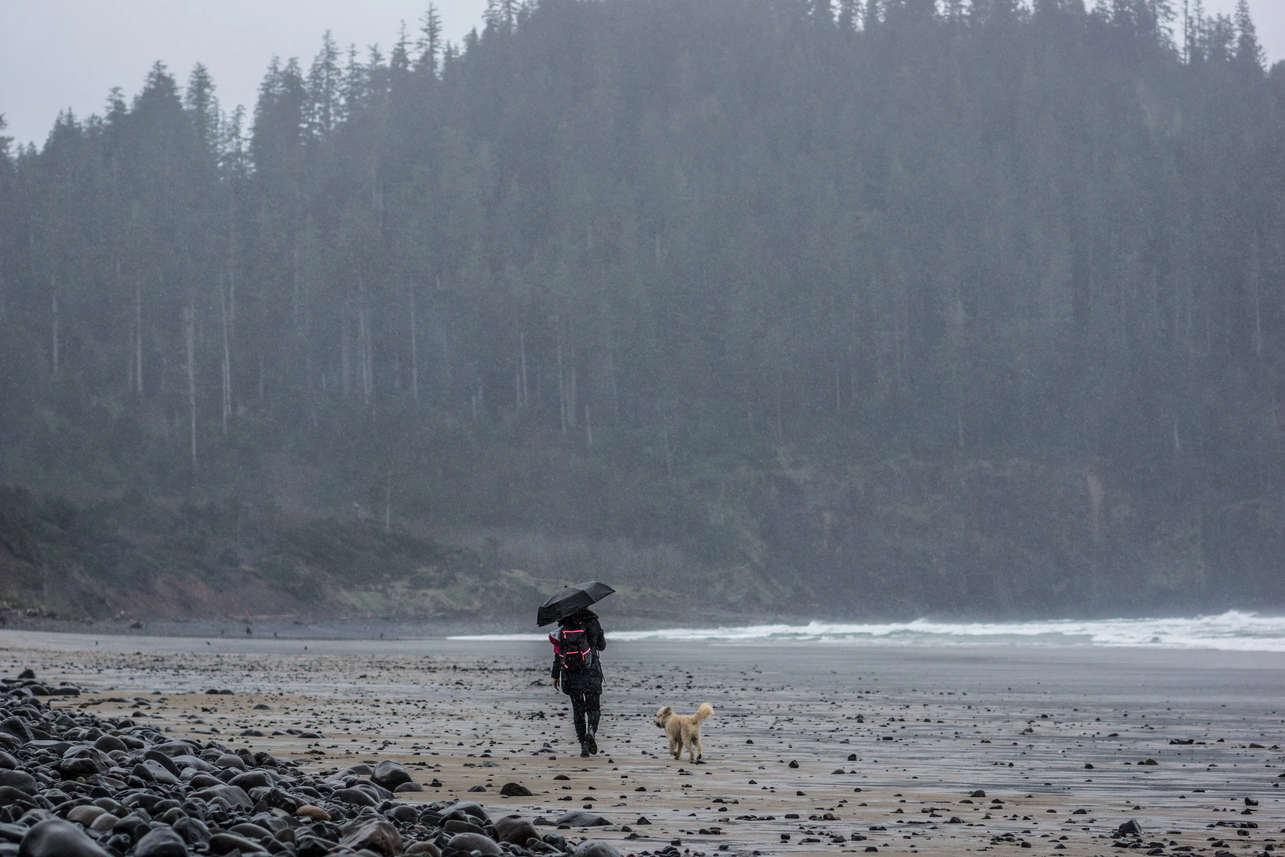 Site images (17 of 17).jpg