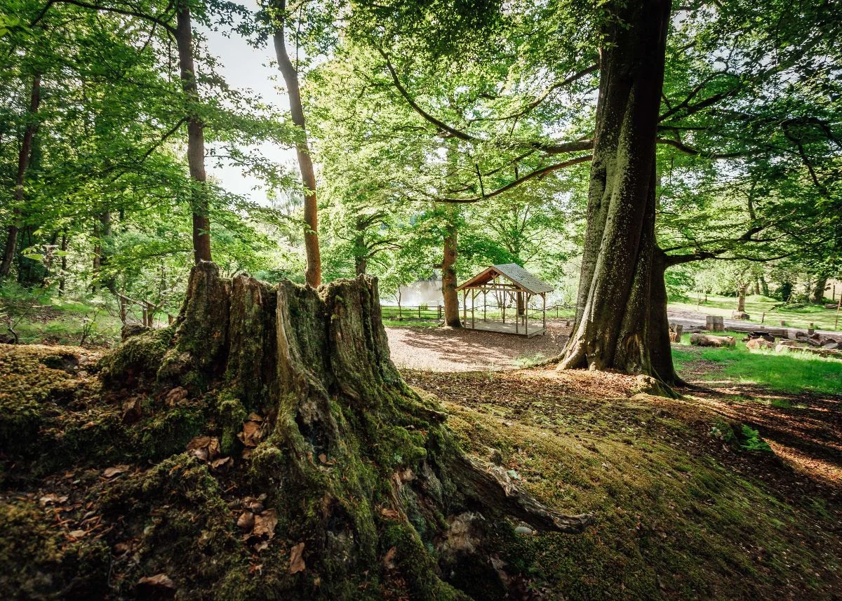 Wasing Woodland Venue