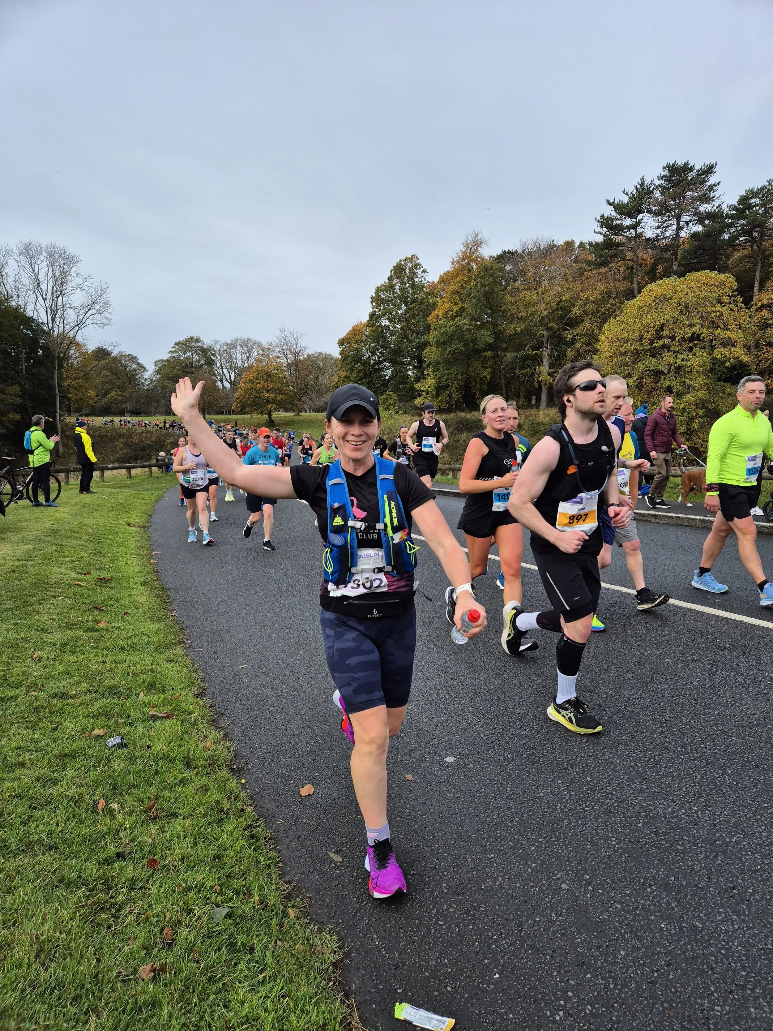 Dublin Marathon — Fitness Goose Running Coach