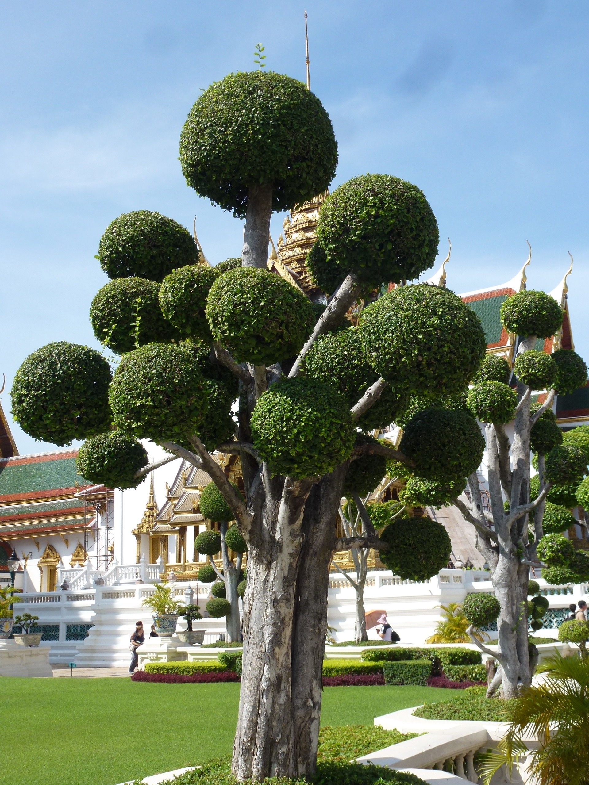 The Royal Palace with landscaping by Dr. Seuss.