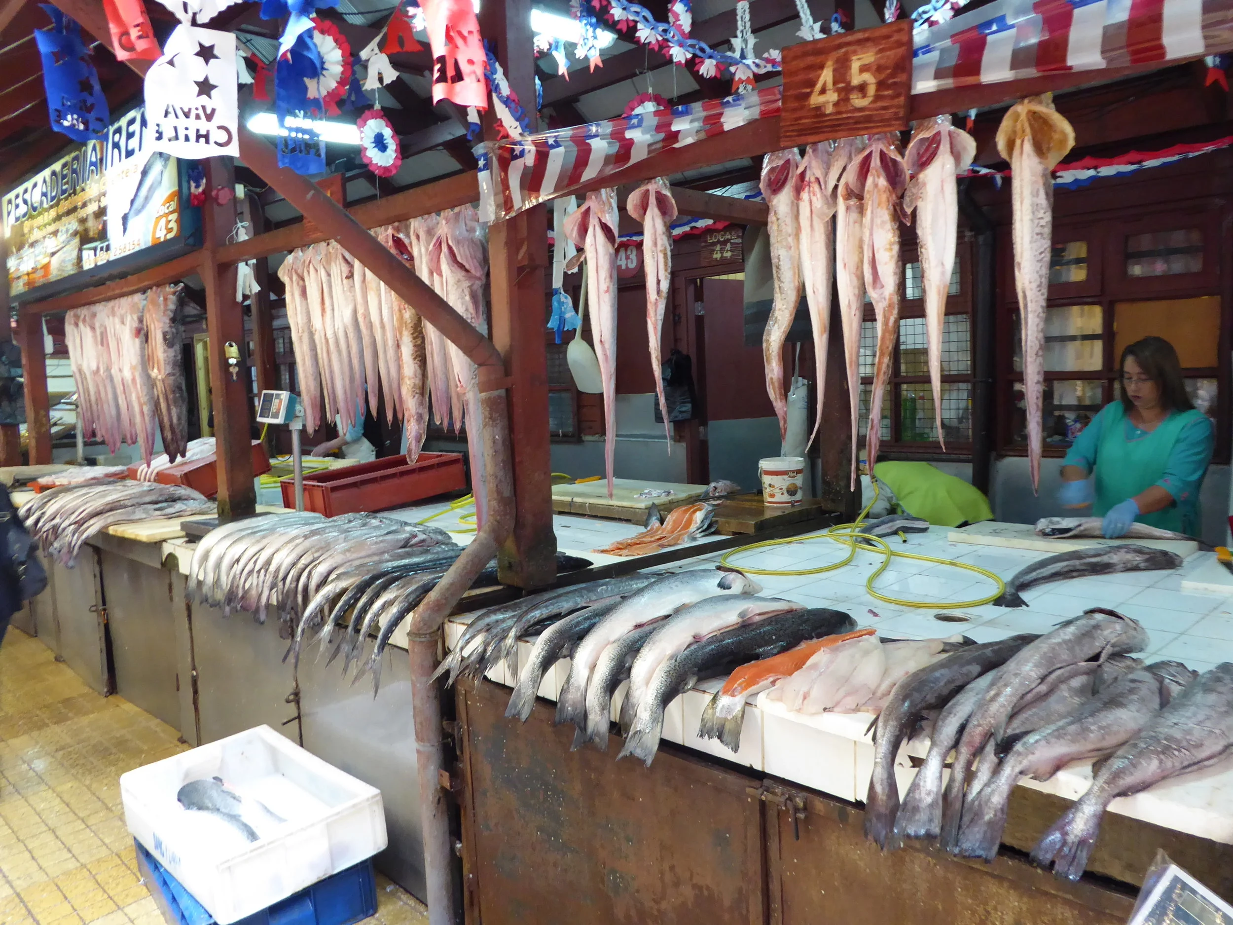 Plenty of sea food to go around.