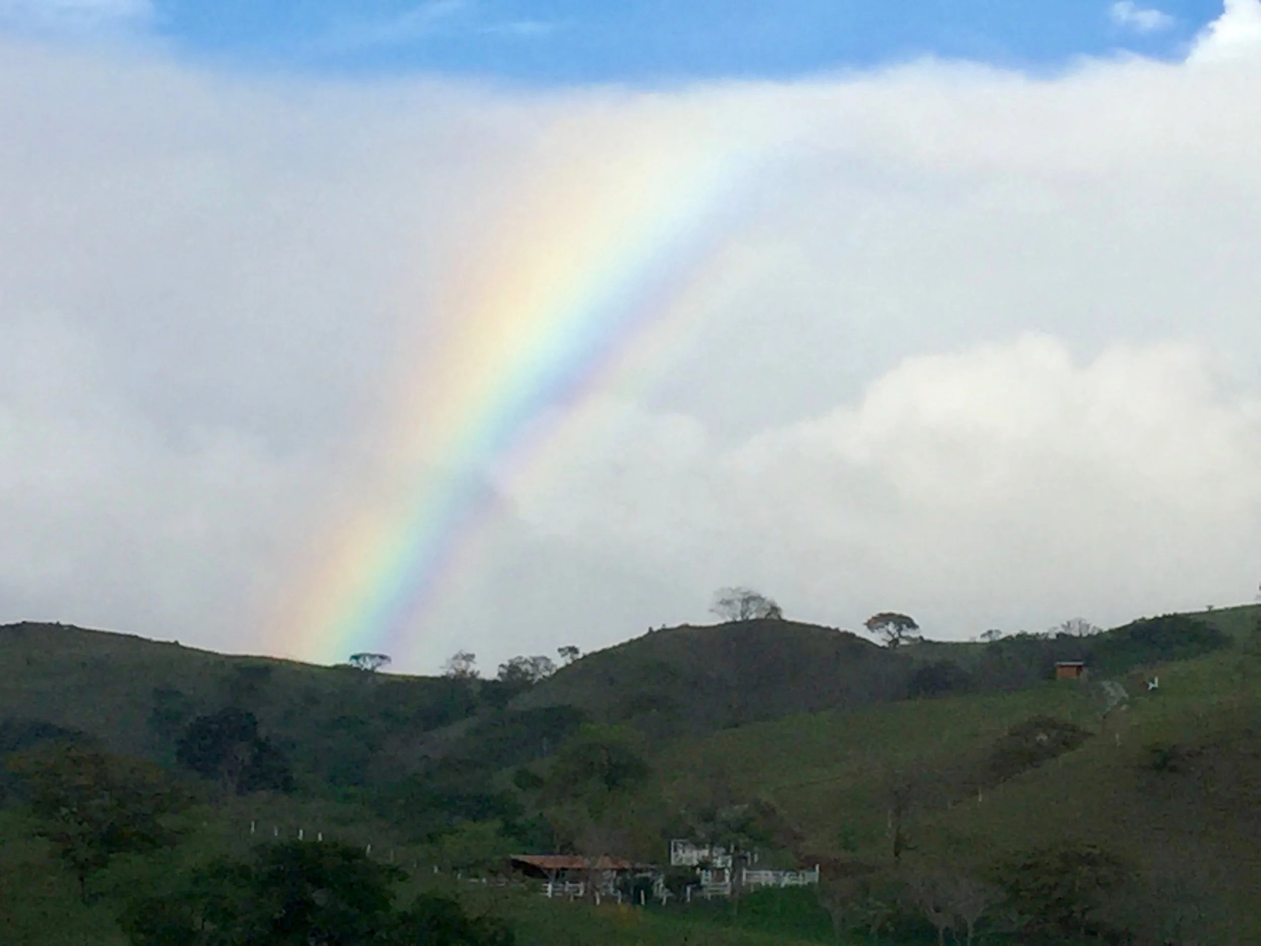 The drive up to Monteverde. Alas, this cell iPhone photo is all that we have and doesn't capture the acrophobia inducing views that stretch fromthe mountainous drive down to the ocean.