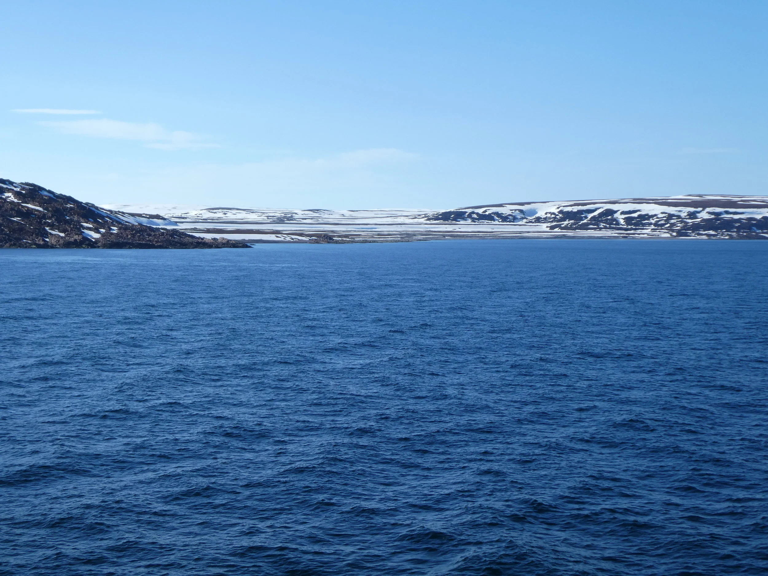P1000345.jpg