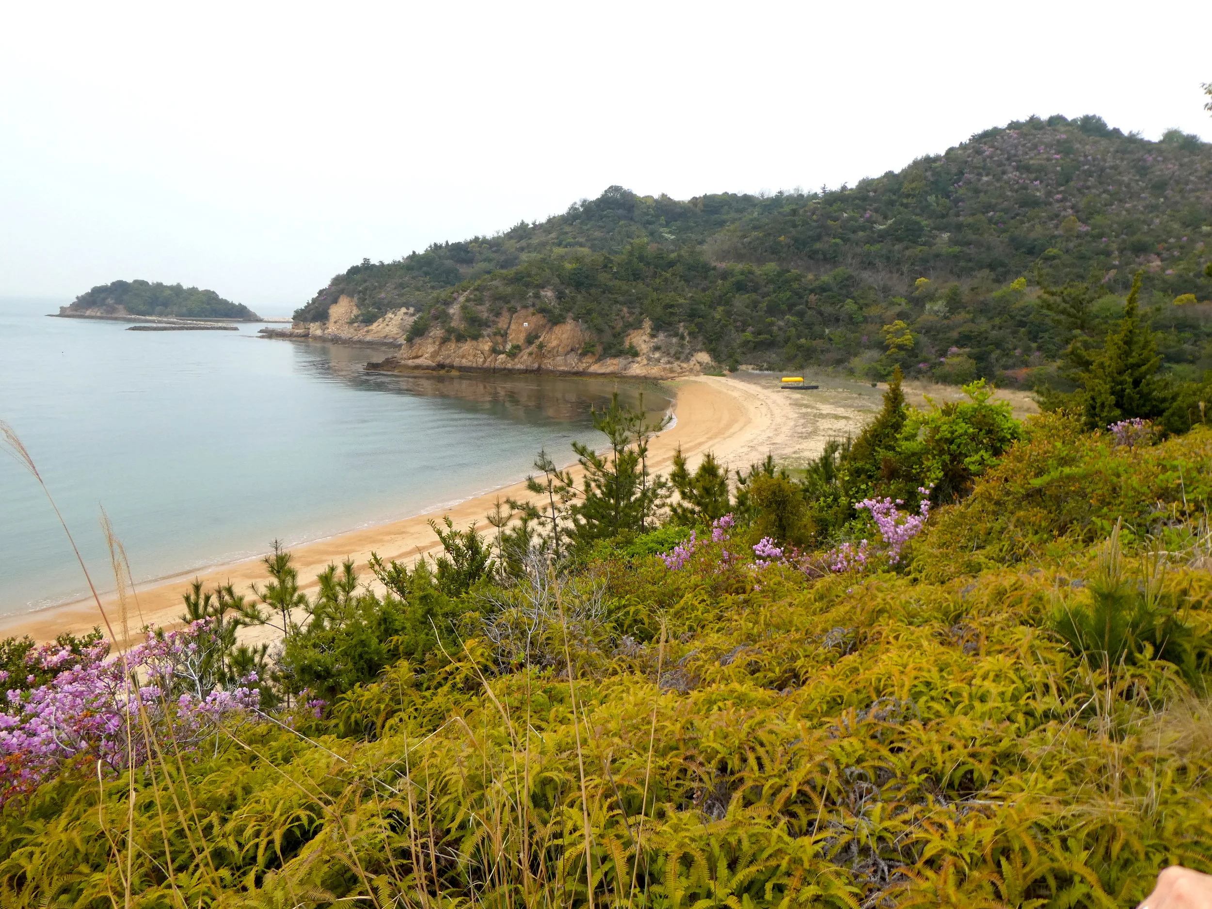 On Naoshima Island.