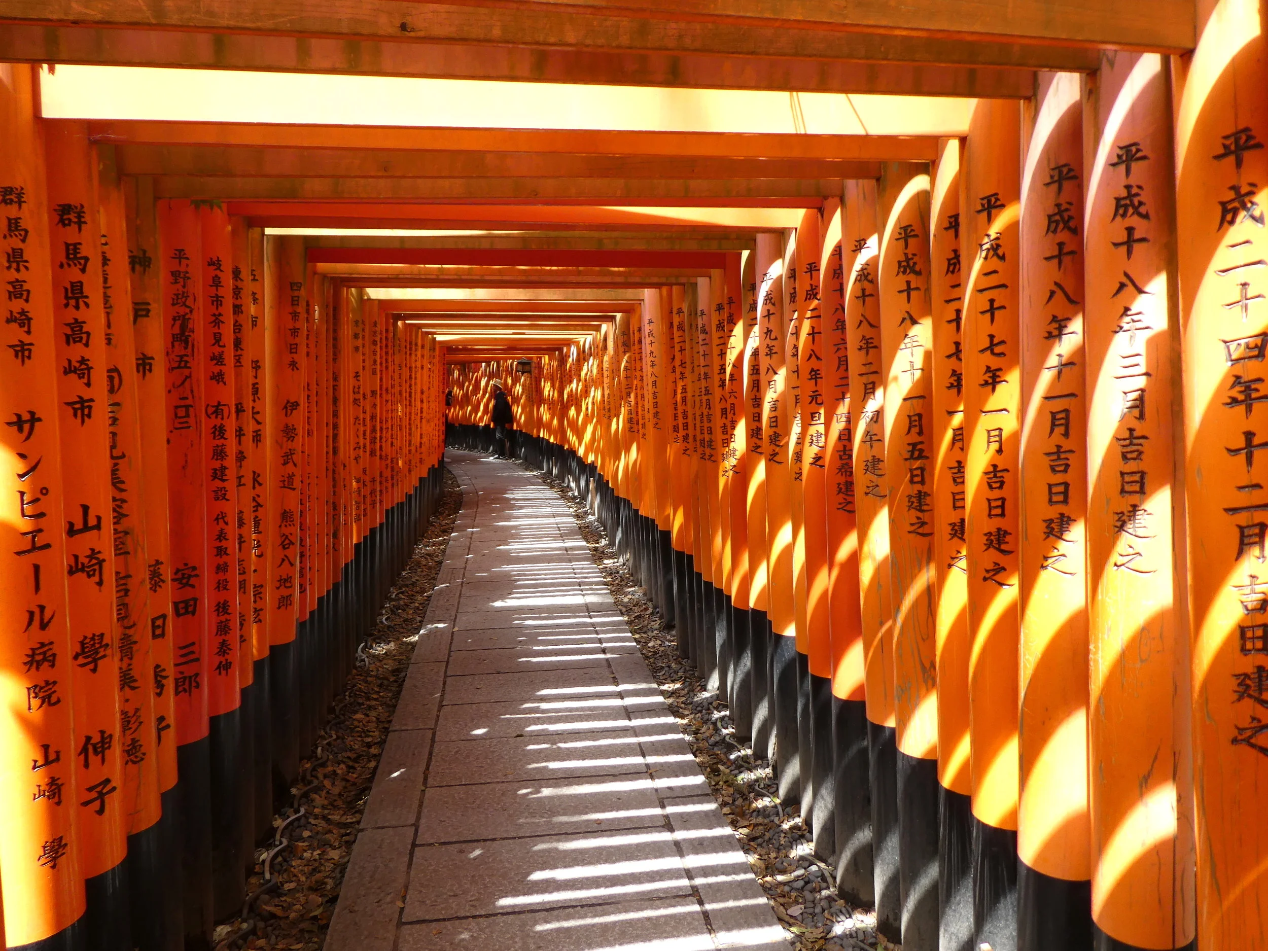 Inari gates. Going through these gates, which number in the thousands, takes you up a steep hillside to a mountaintop shrine overlooking Kyoto.