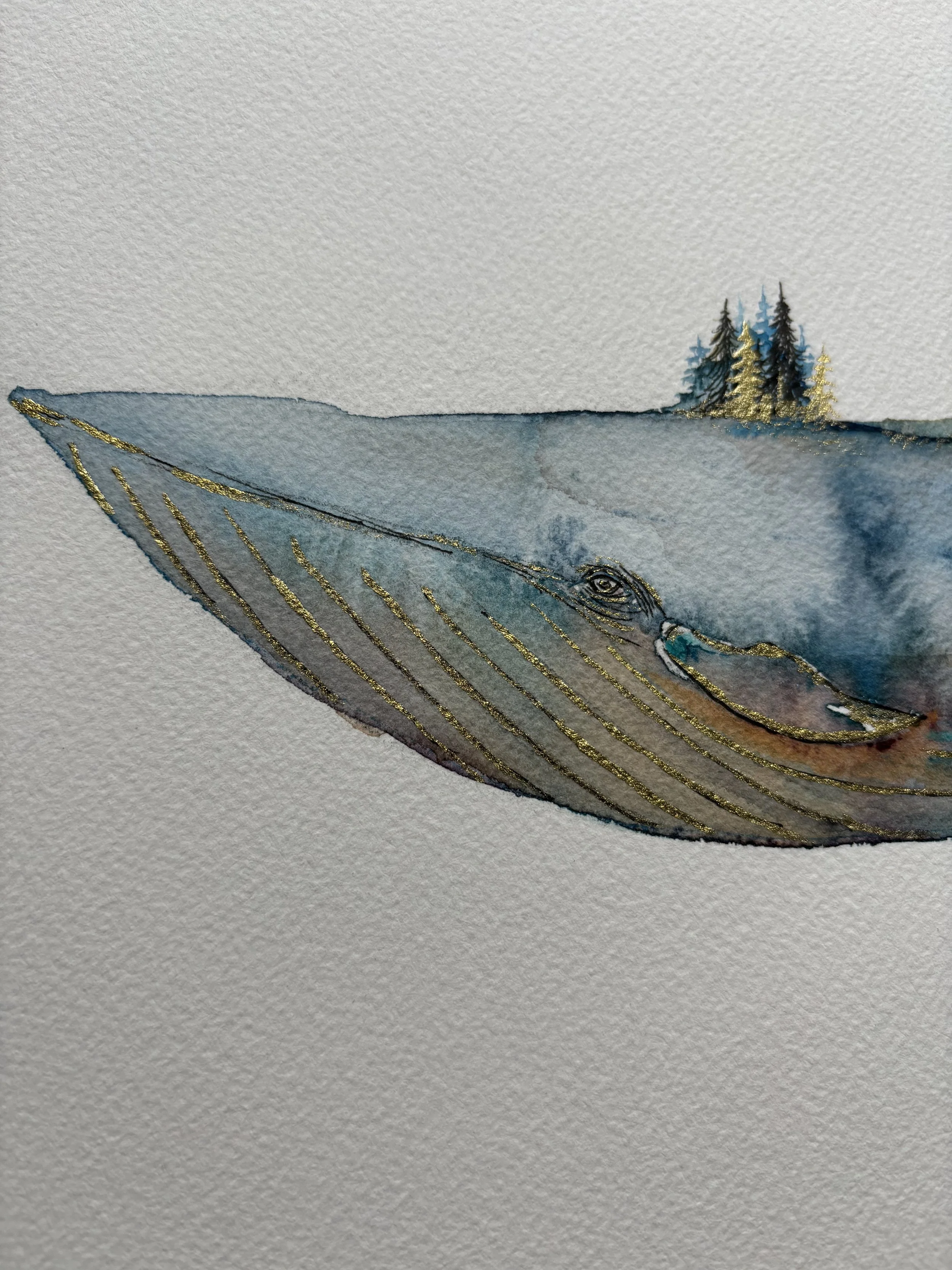 blue whale .jpg
