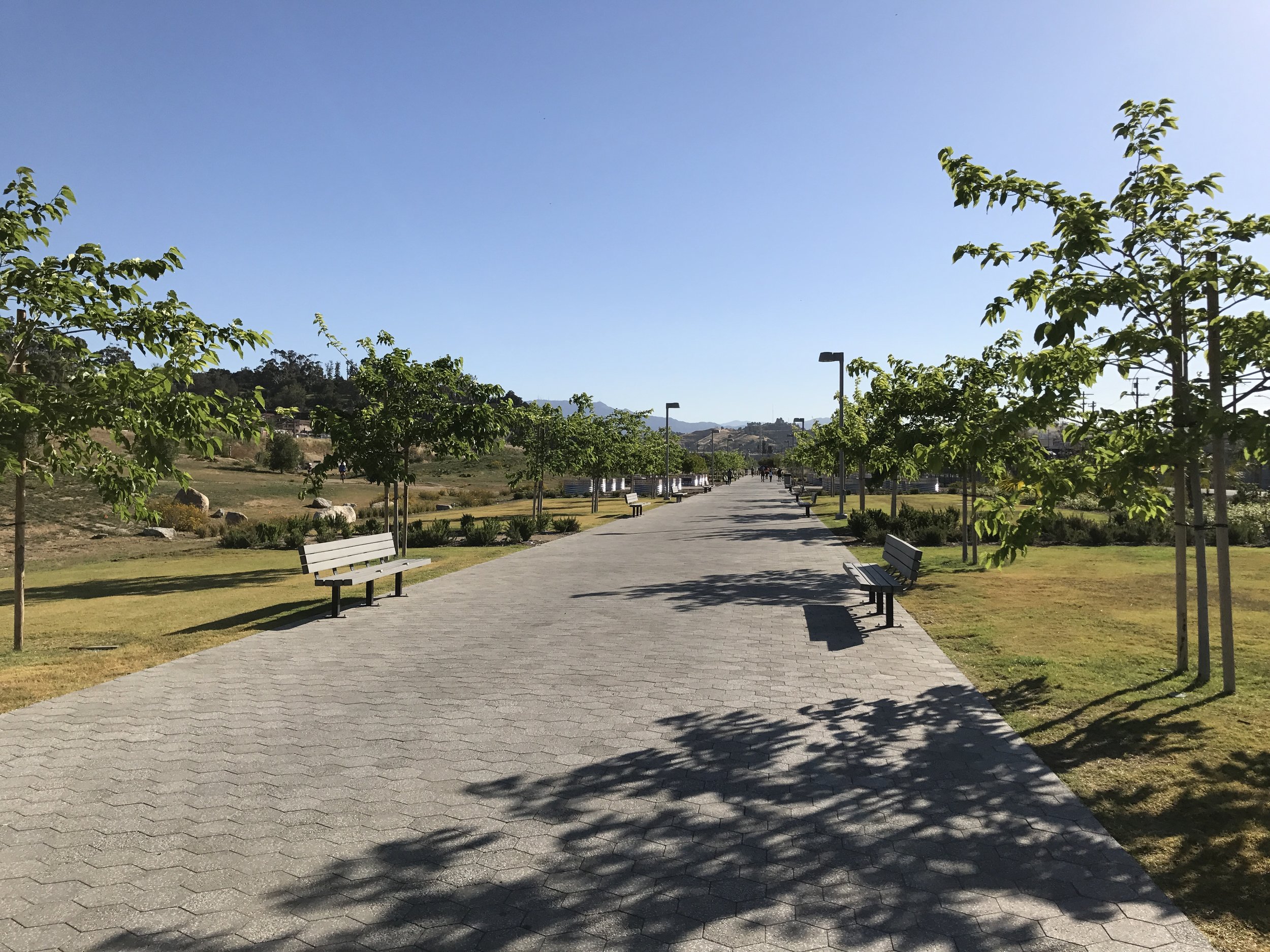 The tree-lined promenade adds an unexpected formality to an otherwise casual park.