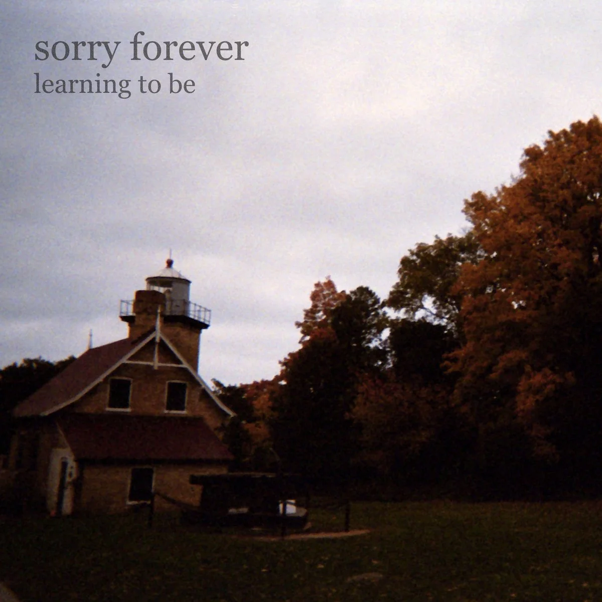 sorry forever - learning to be