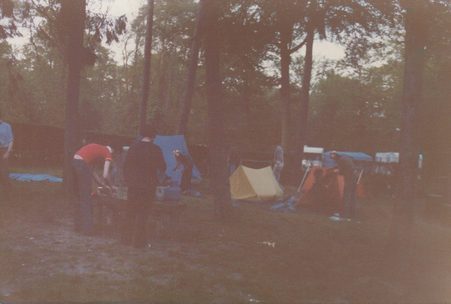 scan_28.jpg